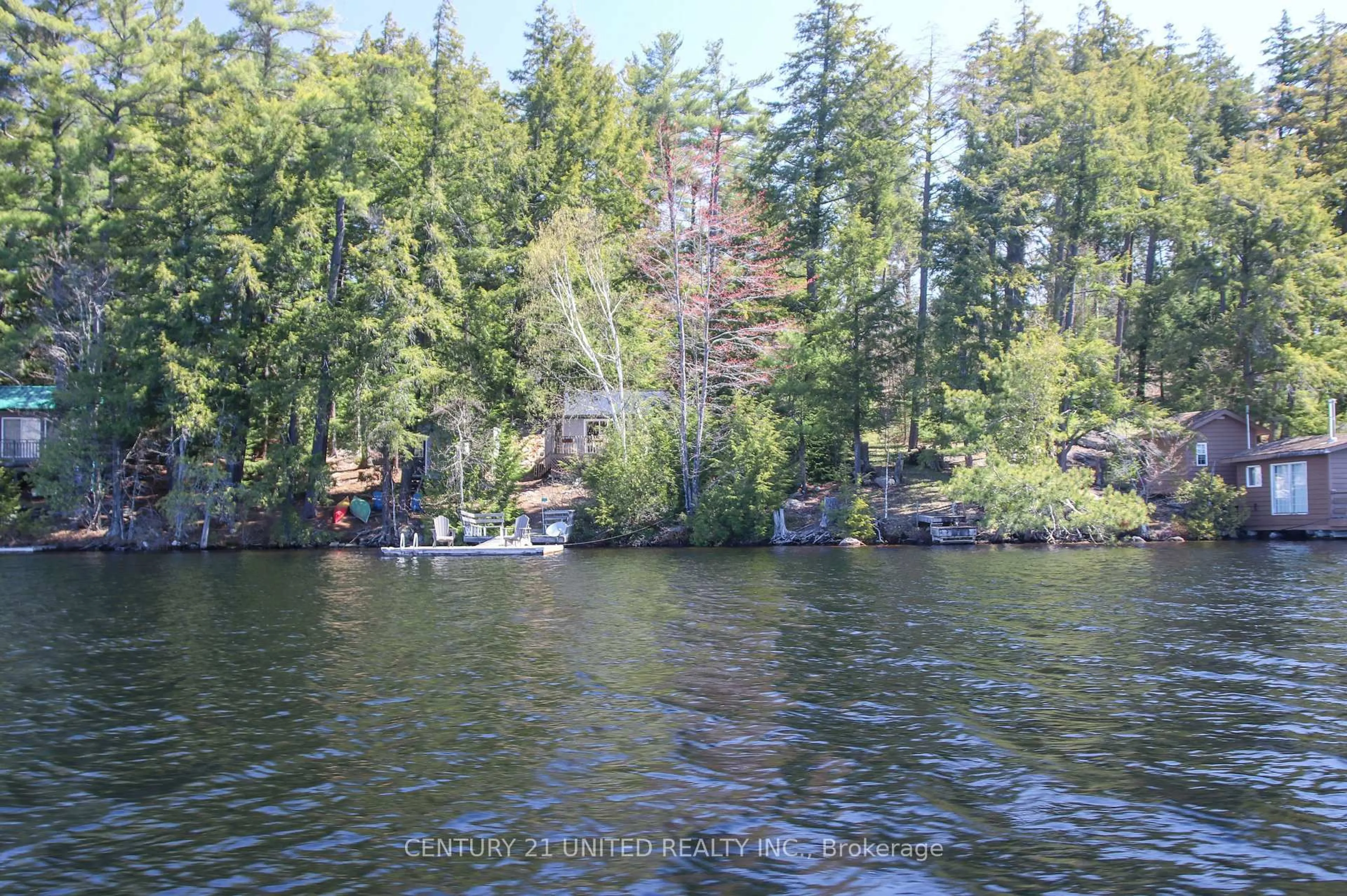 Blurry image for 812 Island 8 Catchacoma Lake, Trent Lakes Ontario K0L 1J0