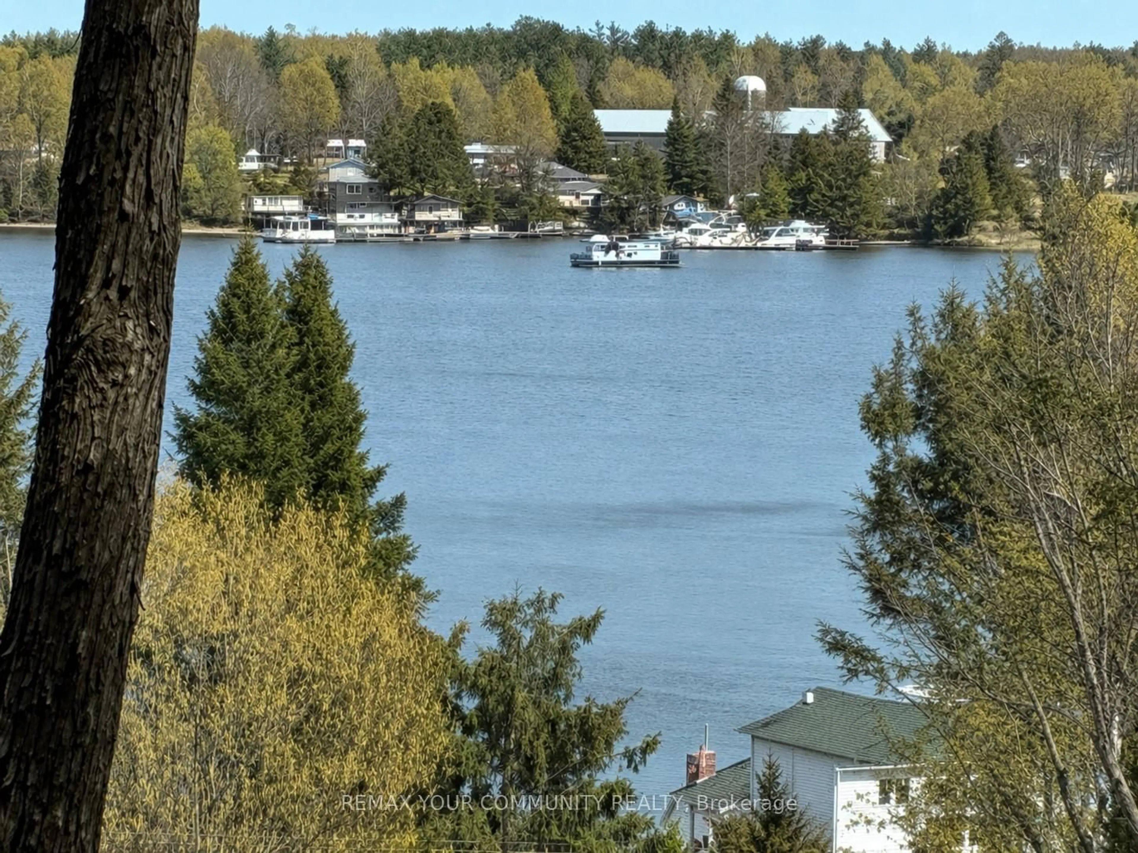 Blurry image for PT LOT 20 Bessie Ave, Trent Lakes Ontario K0M 1A0