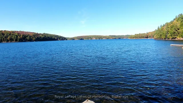 13303 Little Hawk Lake - South Shore, Algonquin Highlands 5