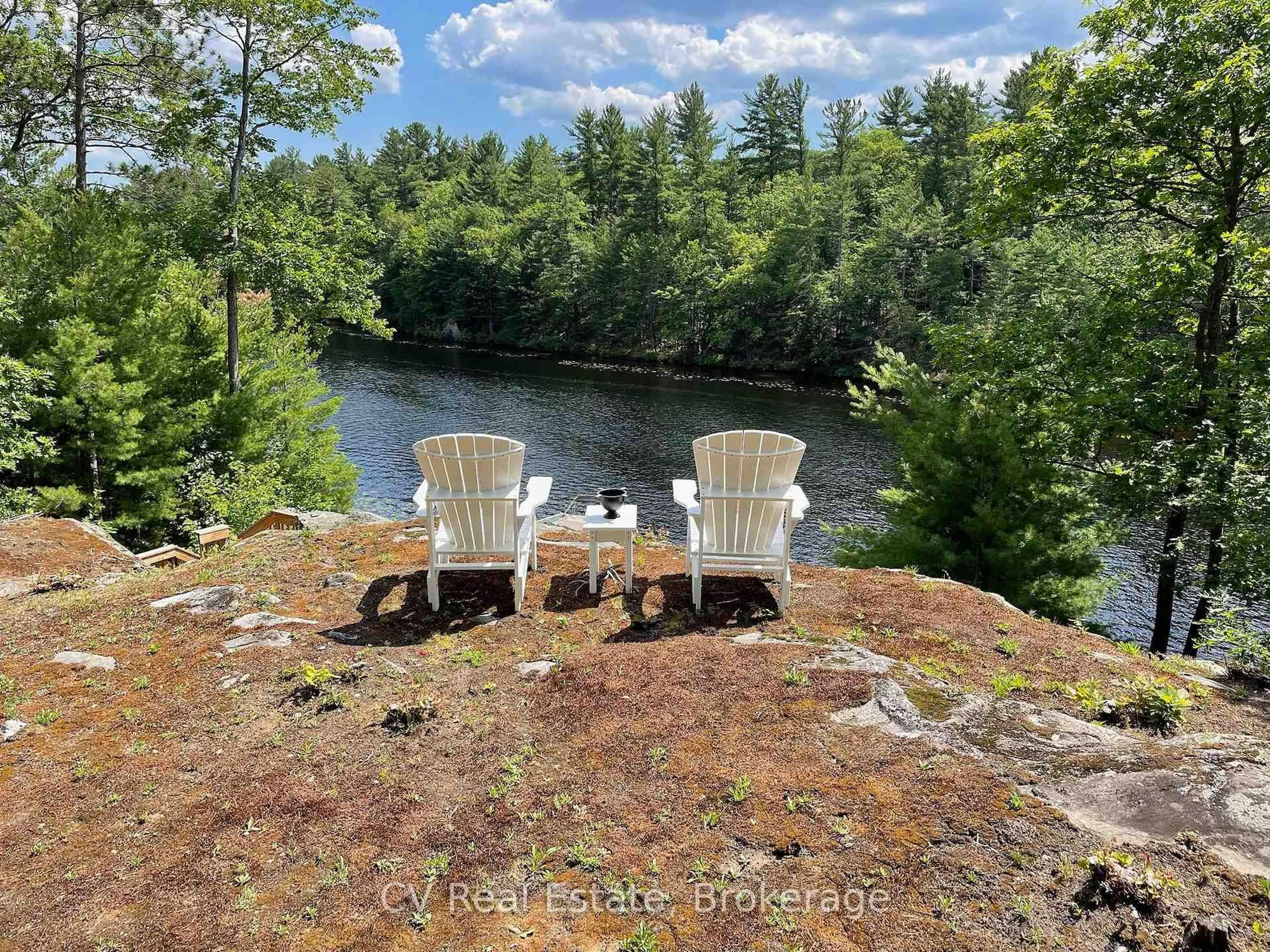A pic from outside/outdoor area/front of a property/back of a property/a pic from drone, water/lake/river/ocean view for 1343 North Muldrew Lake Rd, Gravenhurst Ontario P1P 1V4