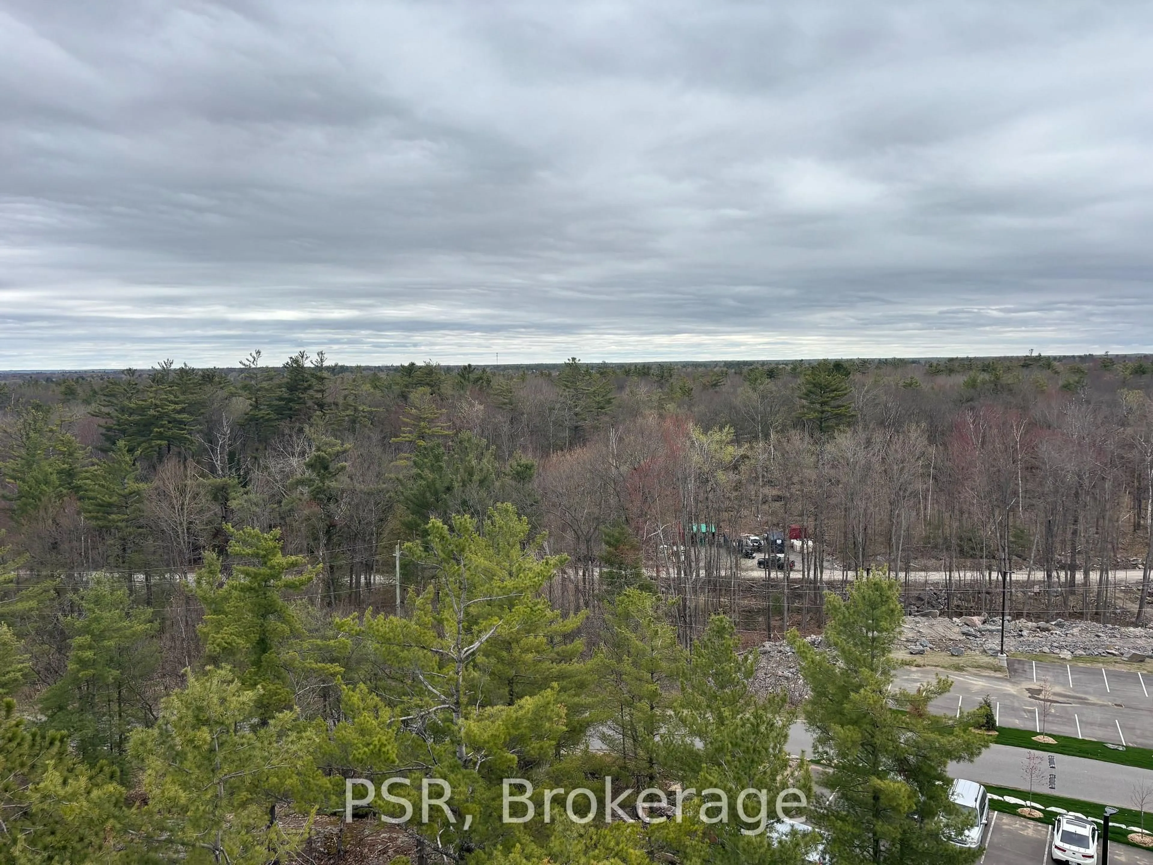 A pic from outside/outdoor area/front of a property/back of a property/a pic from drone, forest/trees view for 100 Carrick Tr #612, Gravenhurst Ontario P1P 0J5