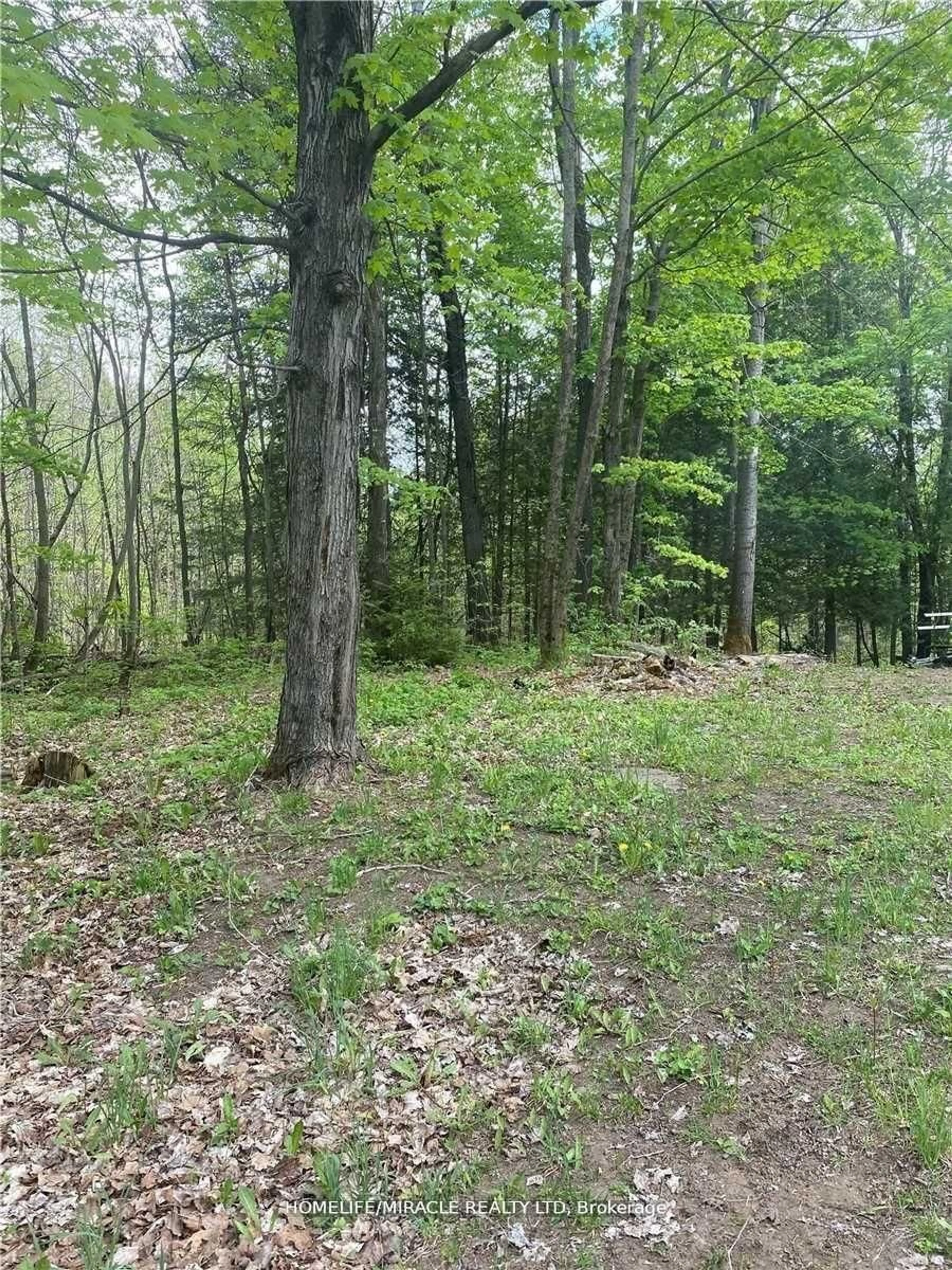 A pic of a room for 3460 Harburn Rd, Dysart et al Ontario K0M 1M0