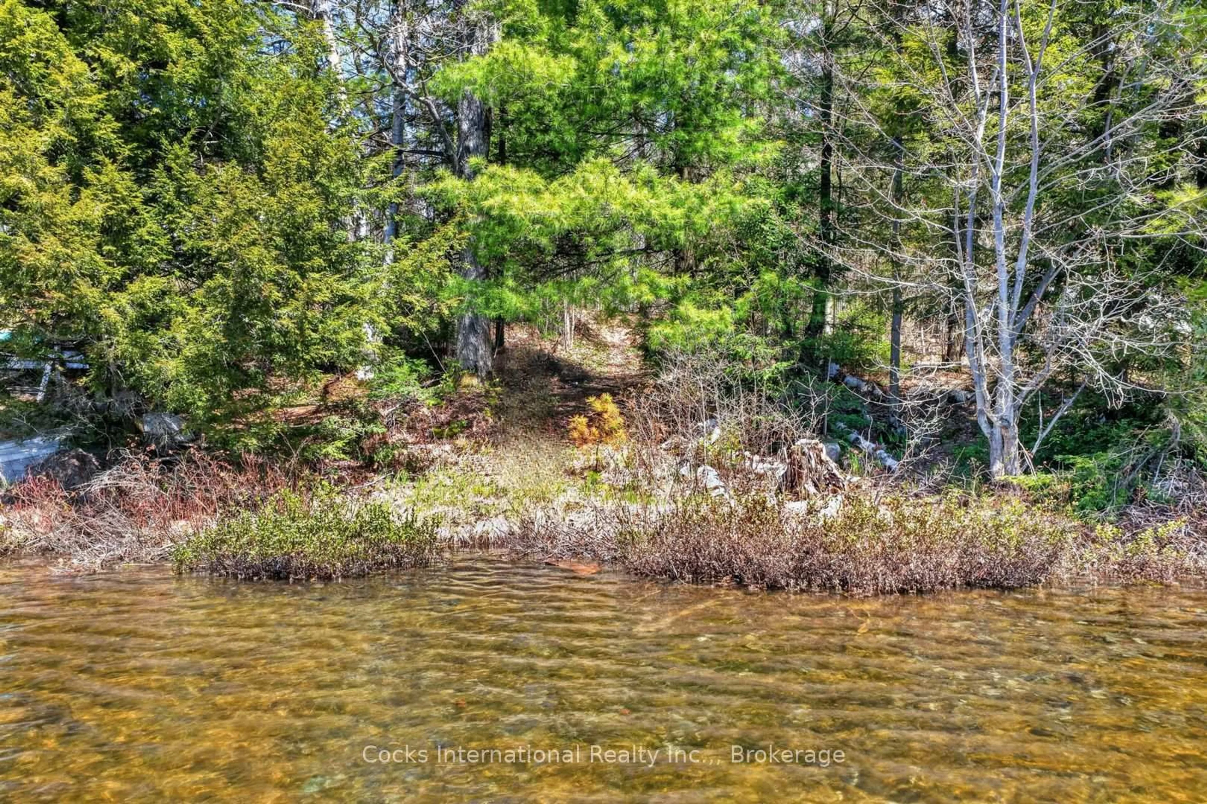 Blurry image for 1165 Spring Lake Rd, Bracebridge Ontario P1L 1X1