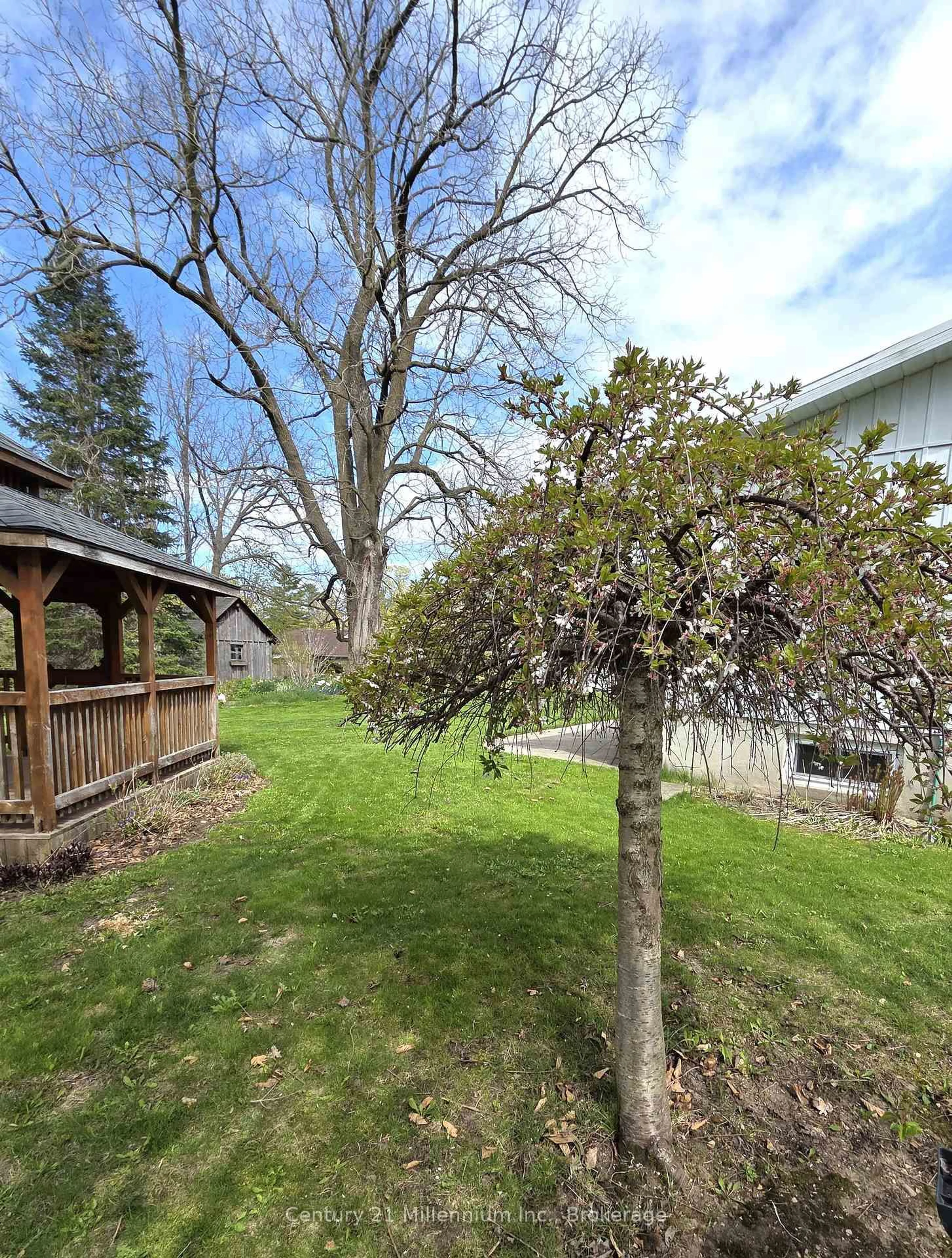 Patio, unknown for 681 Wheeler St, Huron-Kinloss Ontario N0G 2H0
