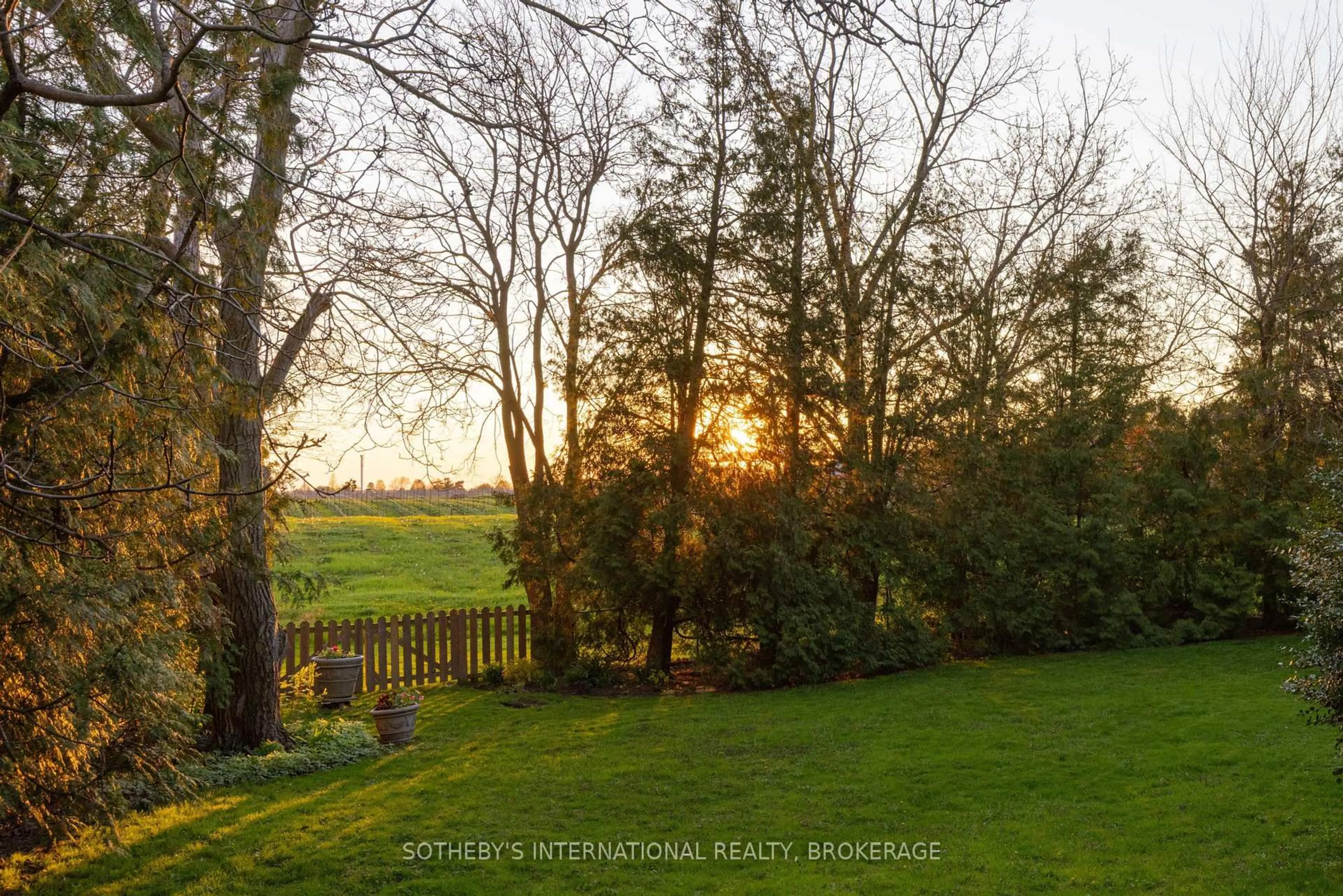 A pic from outside/outdoor area/front of a property/back of a property/a pic from drone, forest/trees view for 15906 Niagara Pkwy, Niagara-on-the-Lake Ontario L0S 1J0