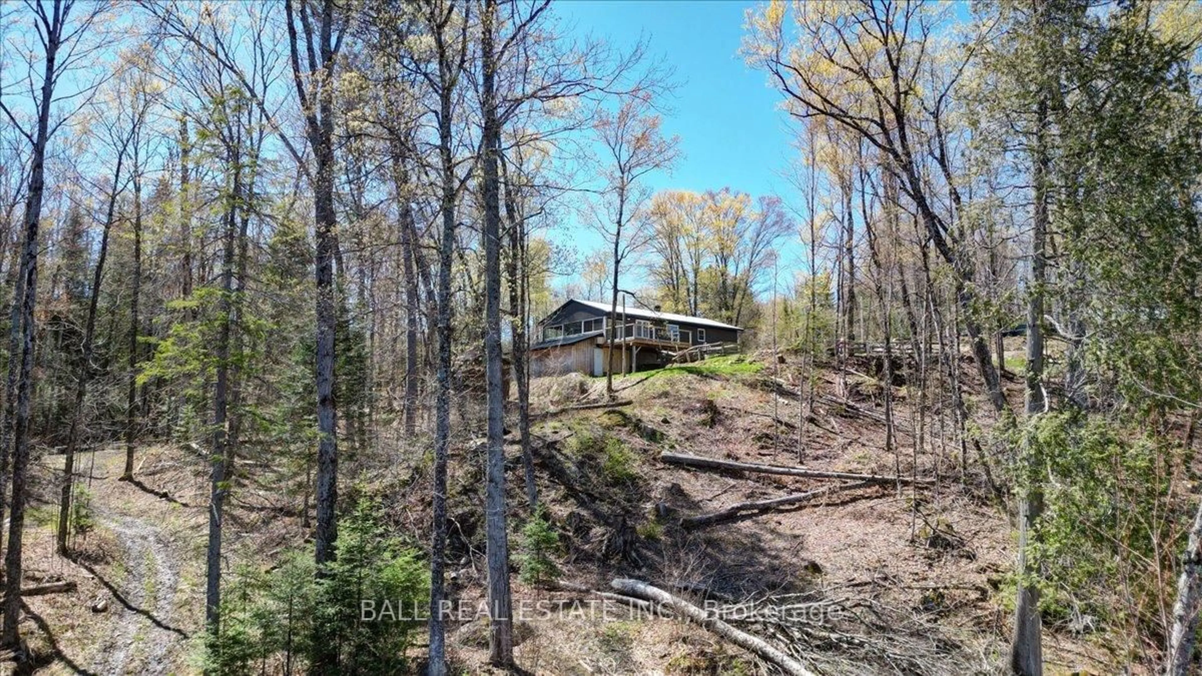 A pic from outside/outdoor area/front of a property/back of a property/a pic from drone, forest/trees view for 832 Lasswade Rd, North Kawartha Ontario K0L 1A0