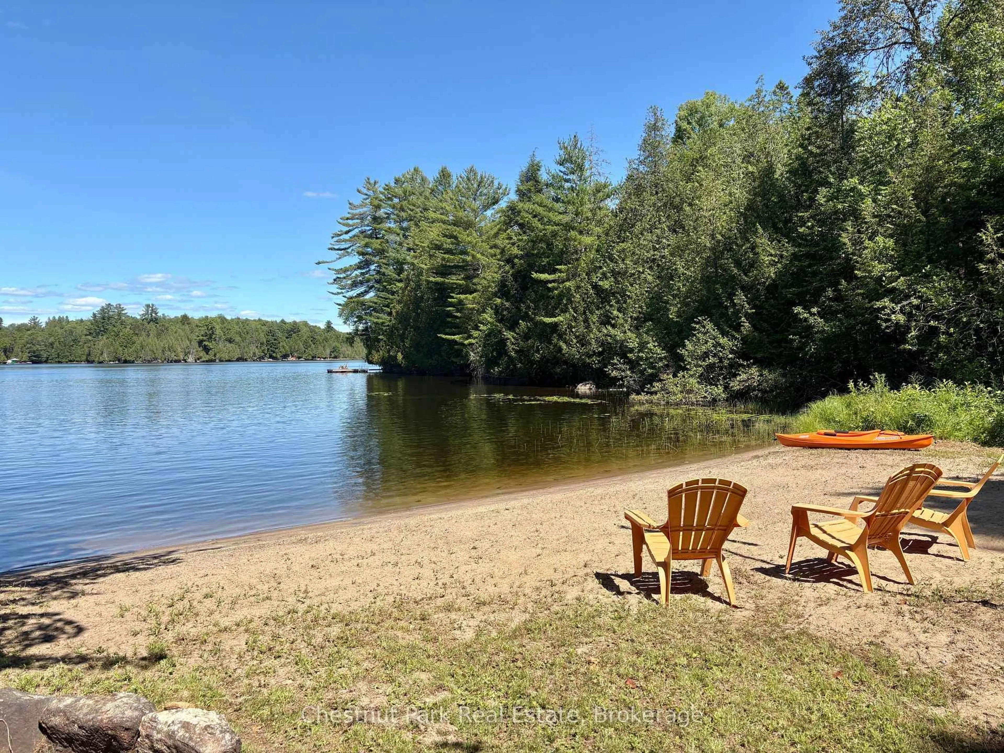 Patio, water/lake/river/ocean view for 10453 County Road 503 Rd, Highlands East Ontario K0M 1R0