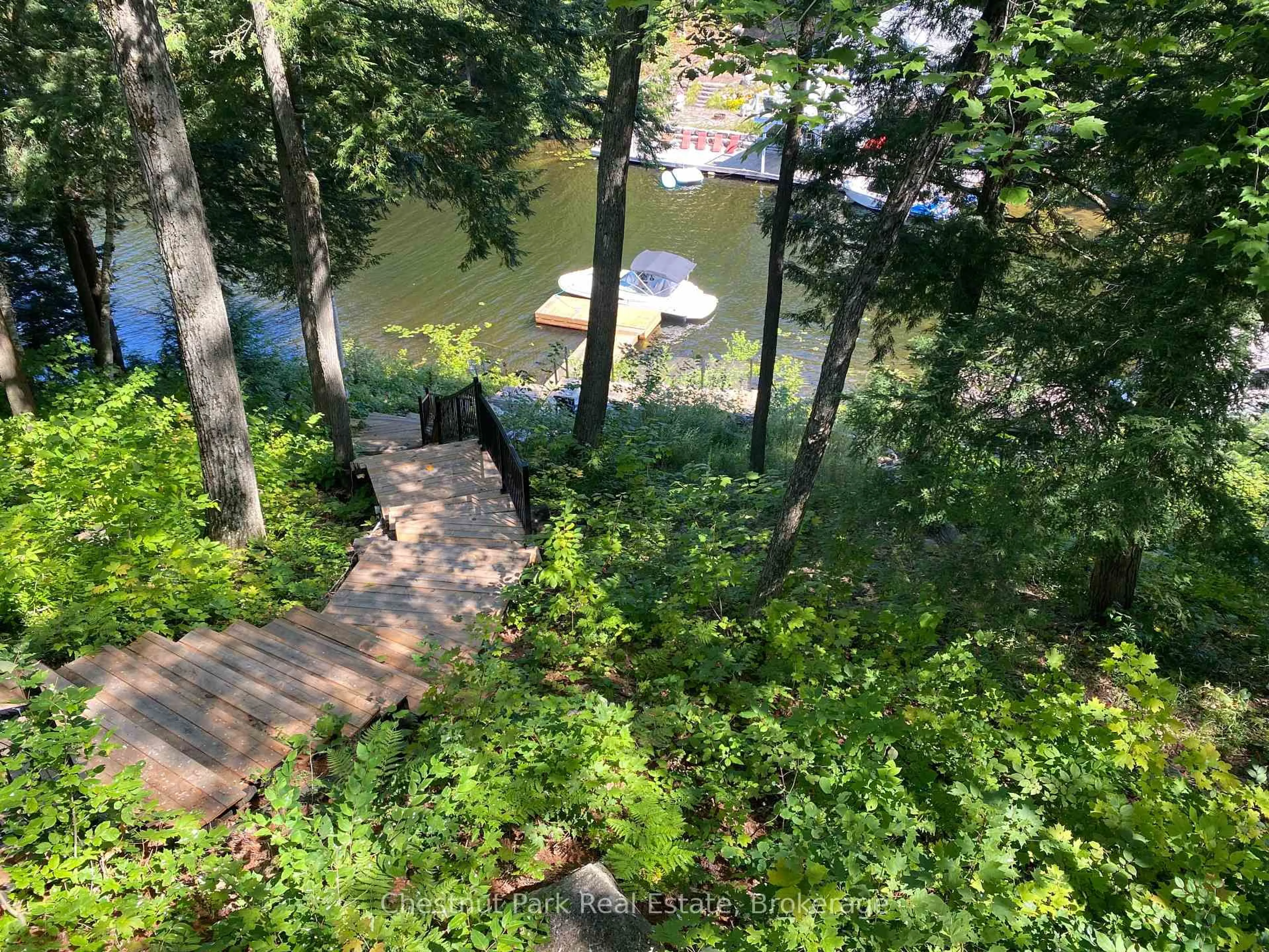 A pic from outside/outdoor area/front of a property/back of a property/a pic from drone, water/lake/river/ocean view for 1019 Old Bala Rd, Muskoka Lakes Ontario P0C 1A0