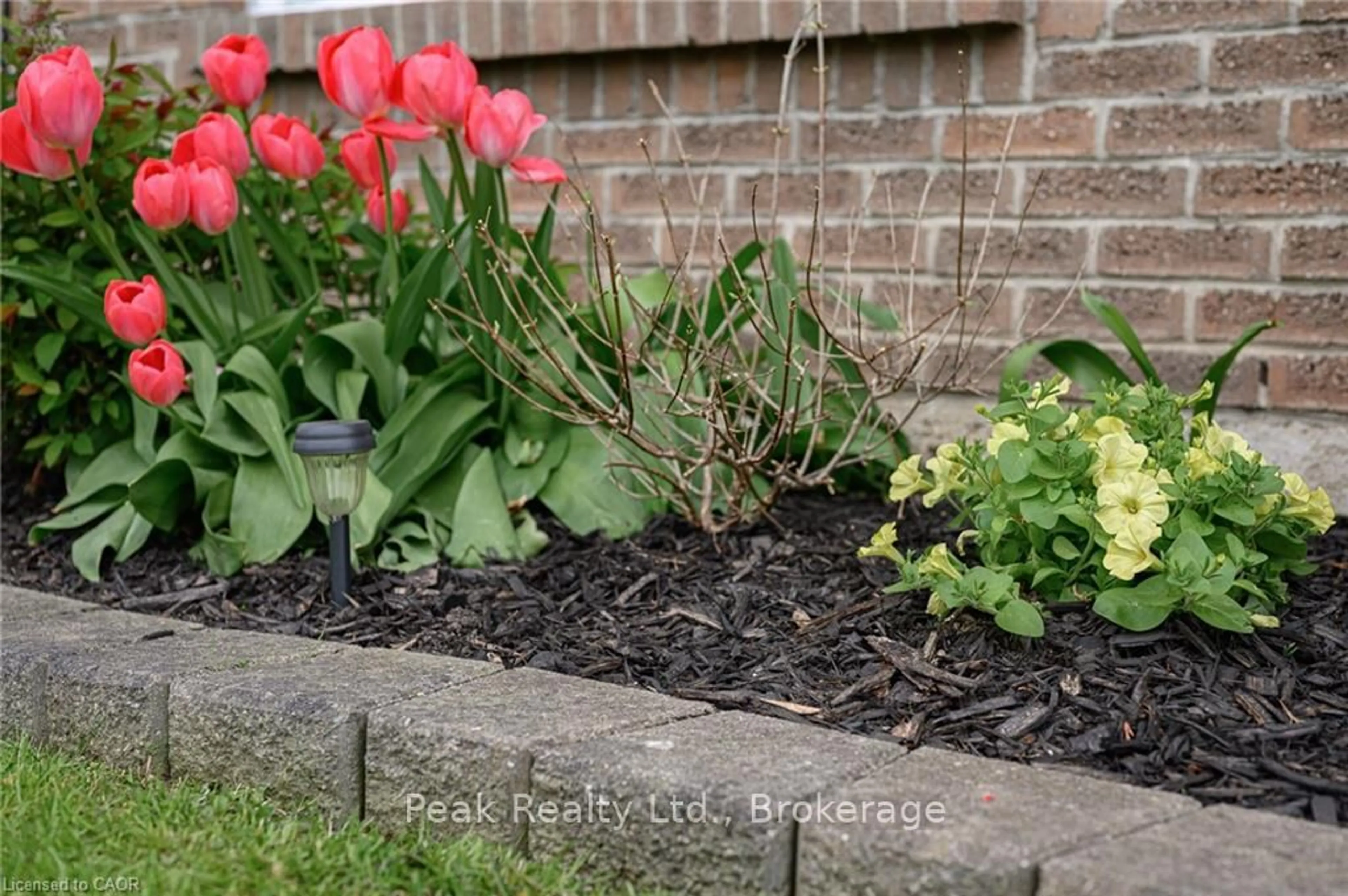 Patio, street for 105 Maple Ave, Stratford Ontario N5A 7G8