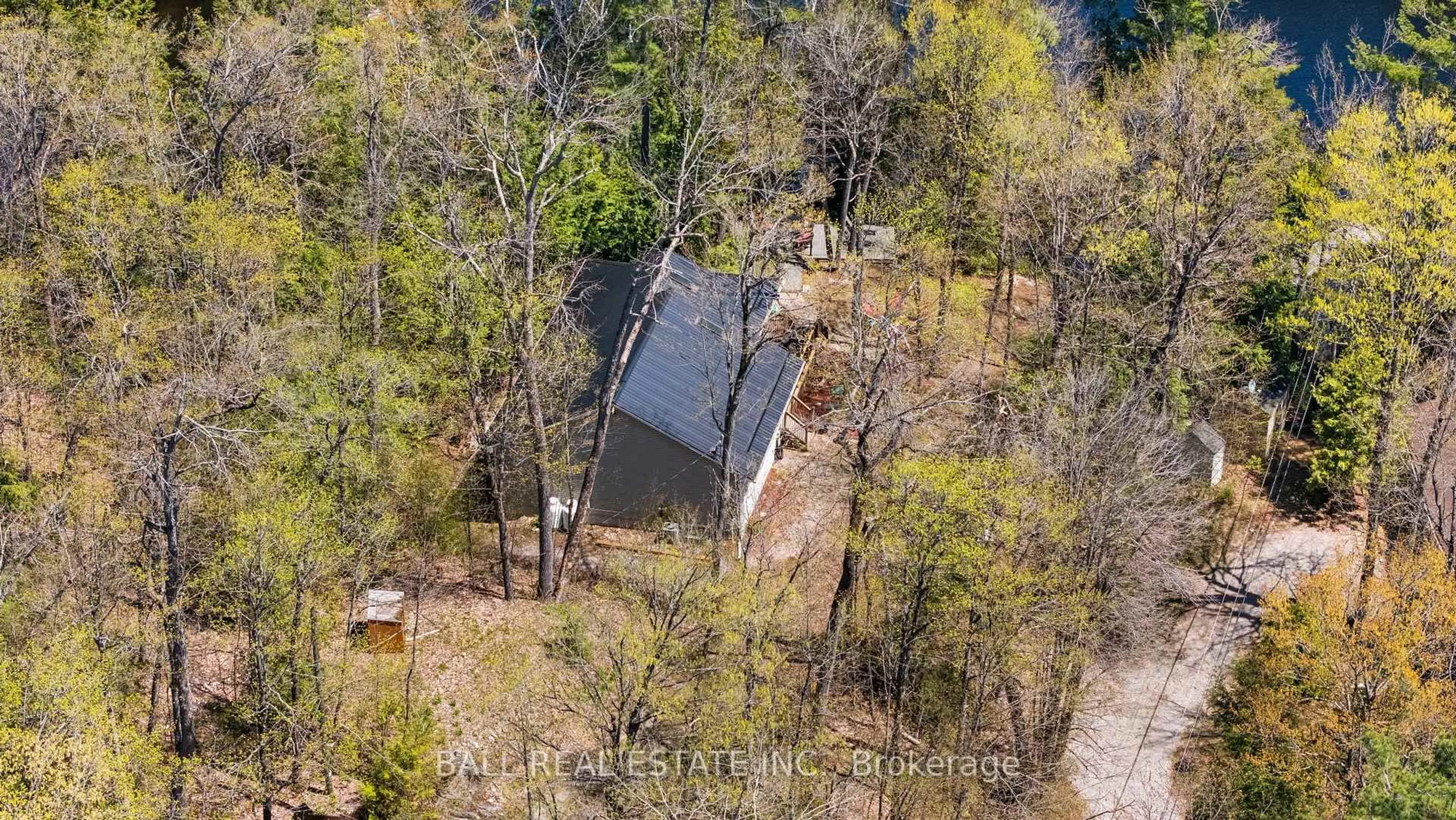 A pic from outside/outdoor area/front of a property/back of a property/a pic from drone, forest/trees view for 479 East Clear Bay Rd, Trent Lakes Ontario K0M 2A0