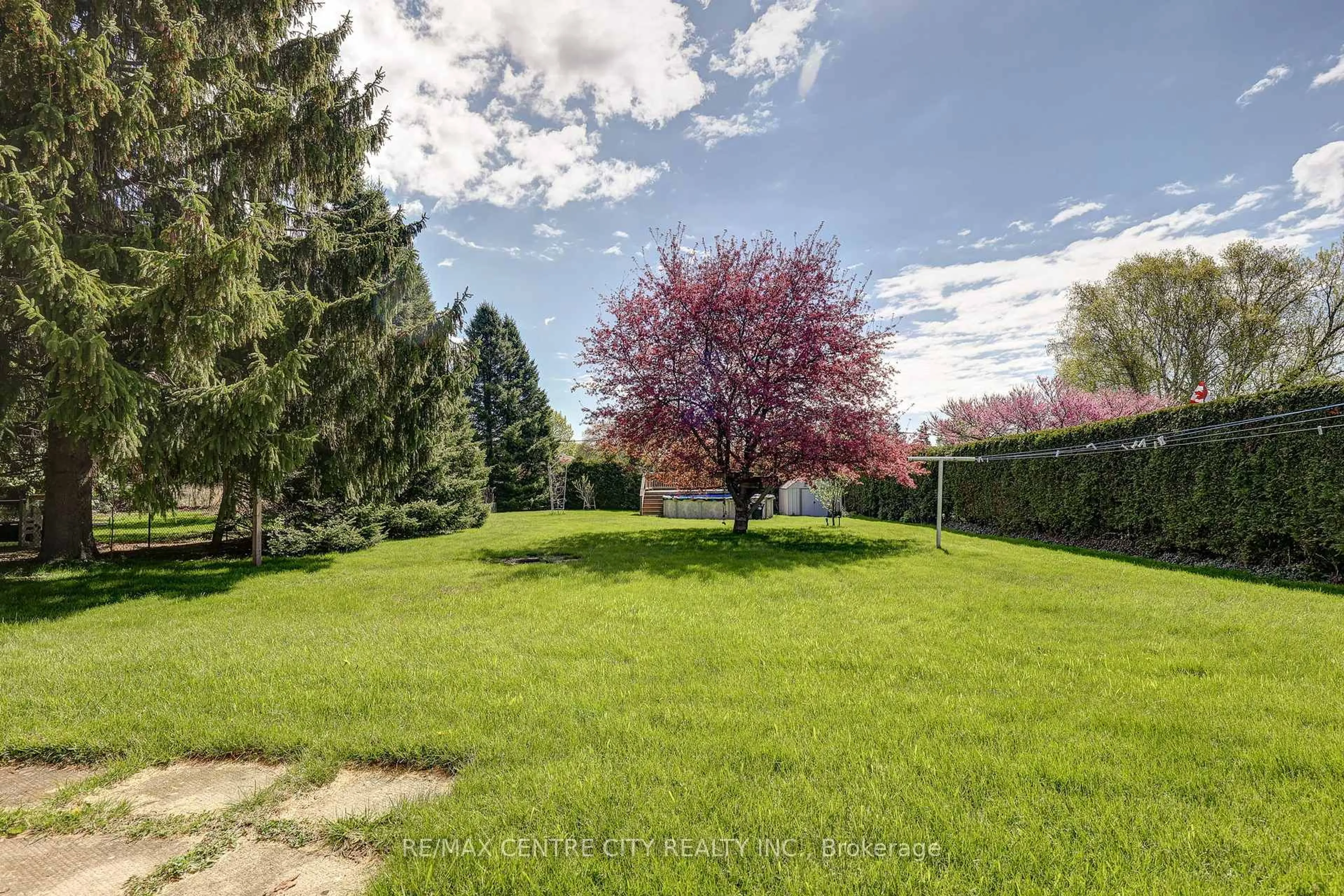 A pic from outside/outdoor area/front of a property/back of a property/a pic from drone, forest/trees view for 68 Bailey Ave, Central Elgin Ontario N5R 5A1