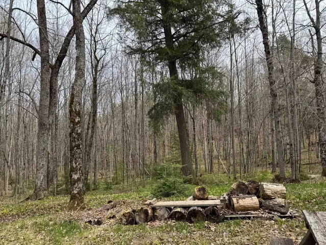 34 Weber Rd, Parry Sound Remote Area 2