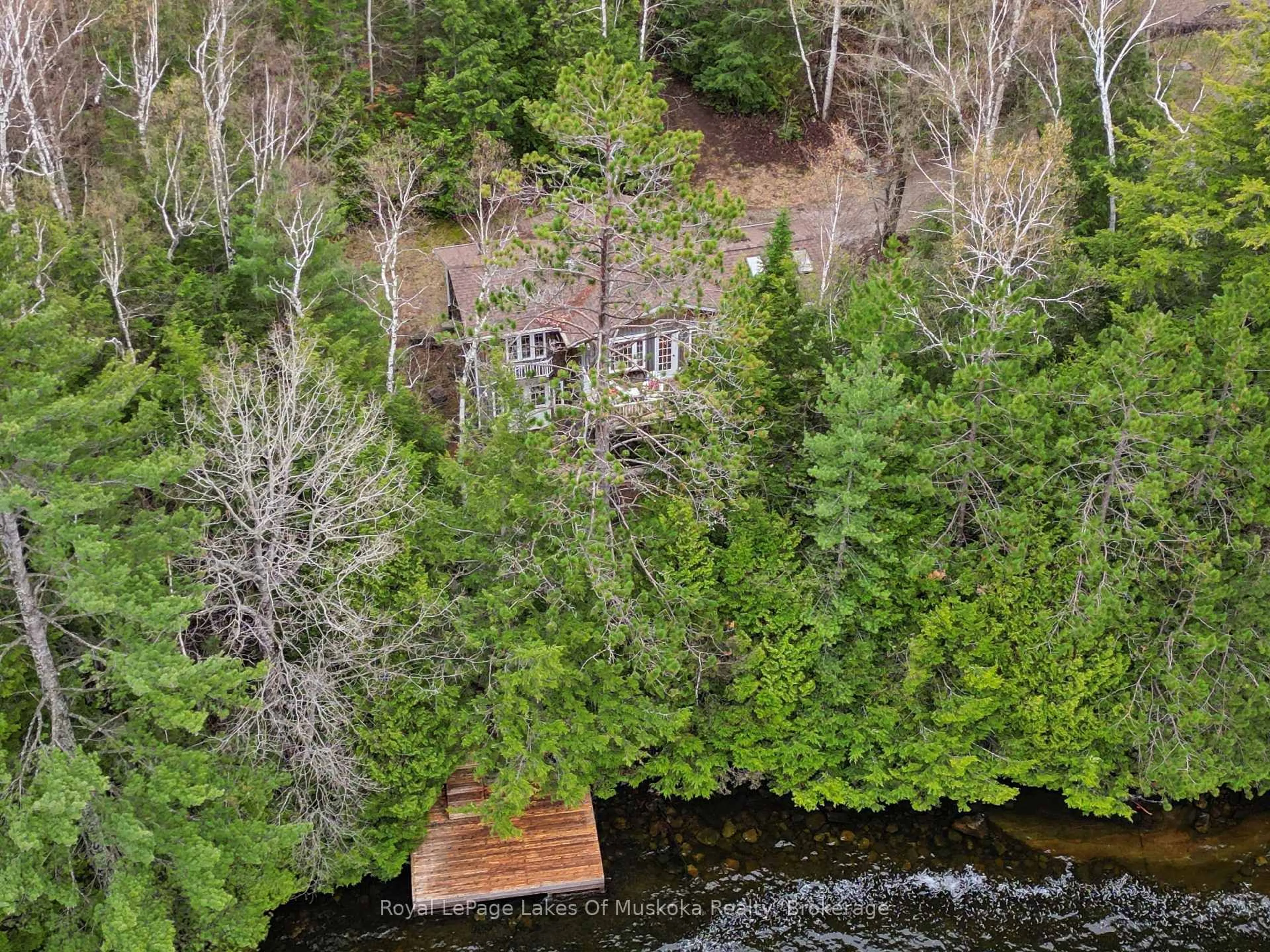 A pic from outside/outdoor area/front of a property/back of a property/a pic from drone, forest/trees view for 4291 Kawagama Lake Rd, Algonquin Highlands Ontario P0A 1E0