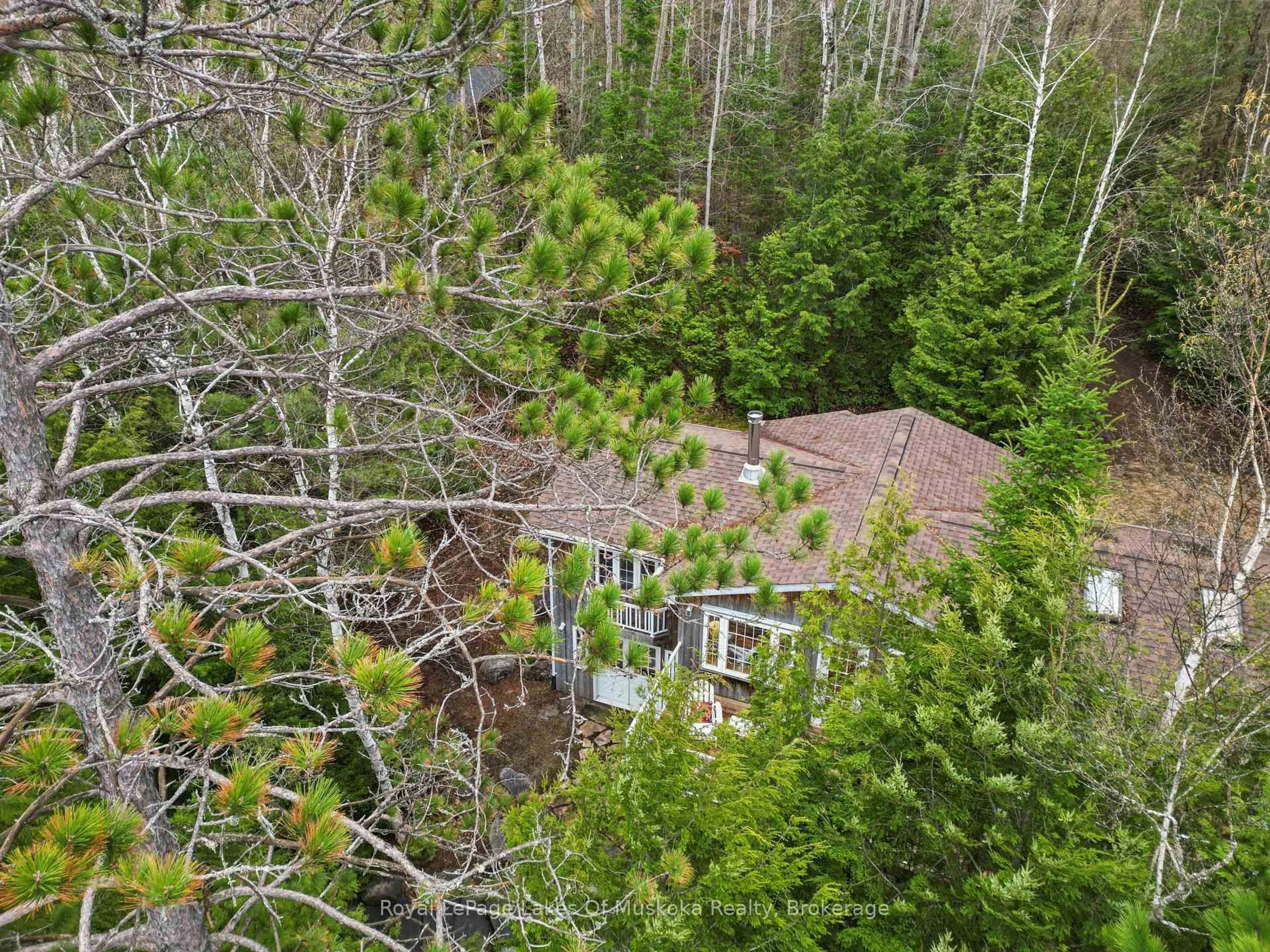 A pic from outside/outdoor area/front of a property/back of a property/a pic from drone, forest/trees view for 4291 Kawagama Lake Rd, Algonquin Highlands Ontario P0A 1E0