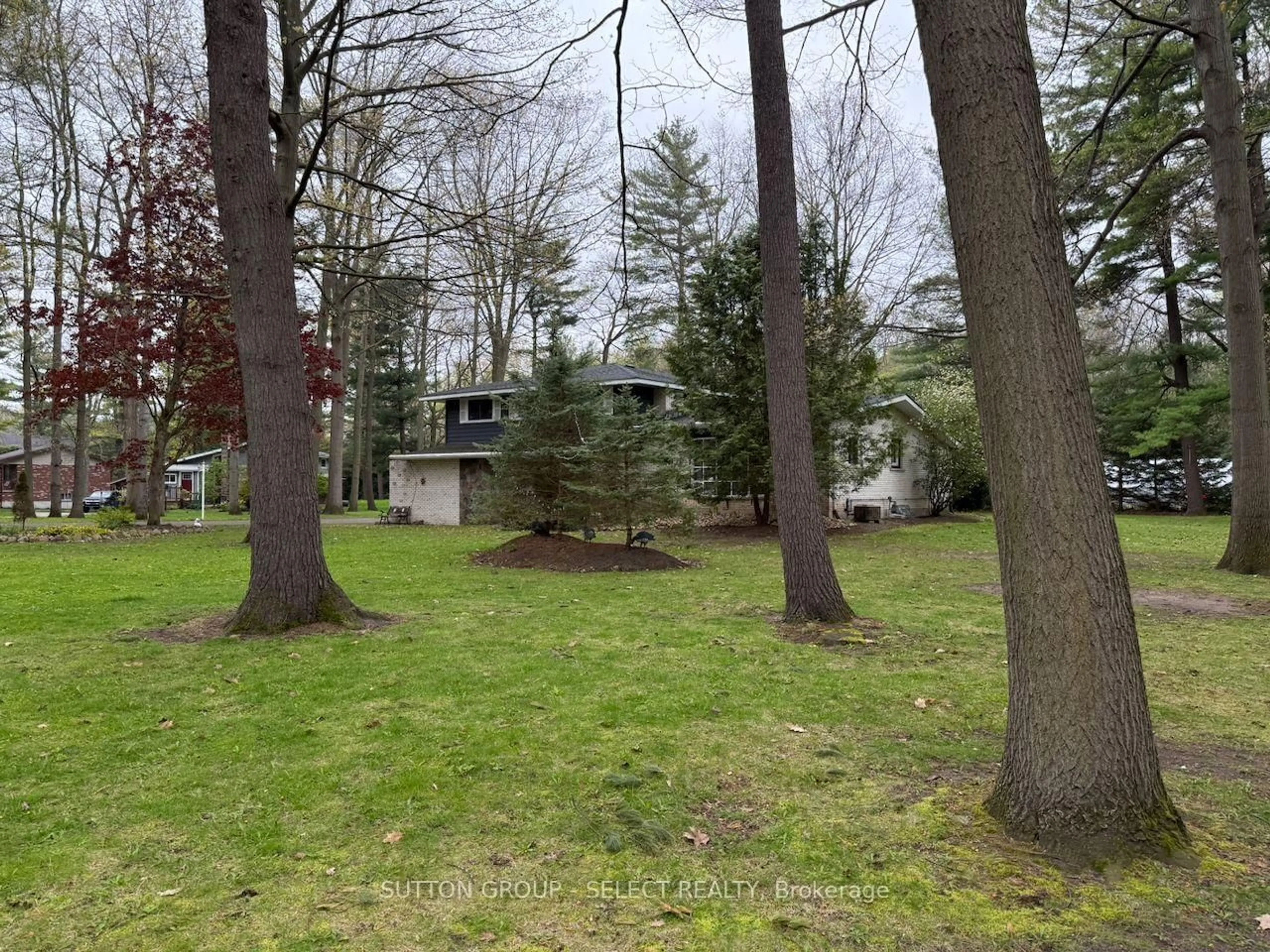 A pic from outside/outdoor area/front of a property/back of a property/a pic from drone, forest/trees view for 10103 Jane St, Lambton Shores Ontario N0M 1T0