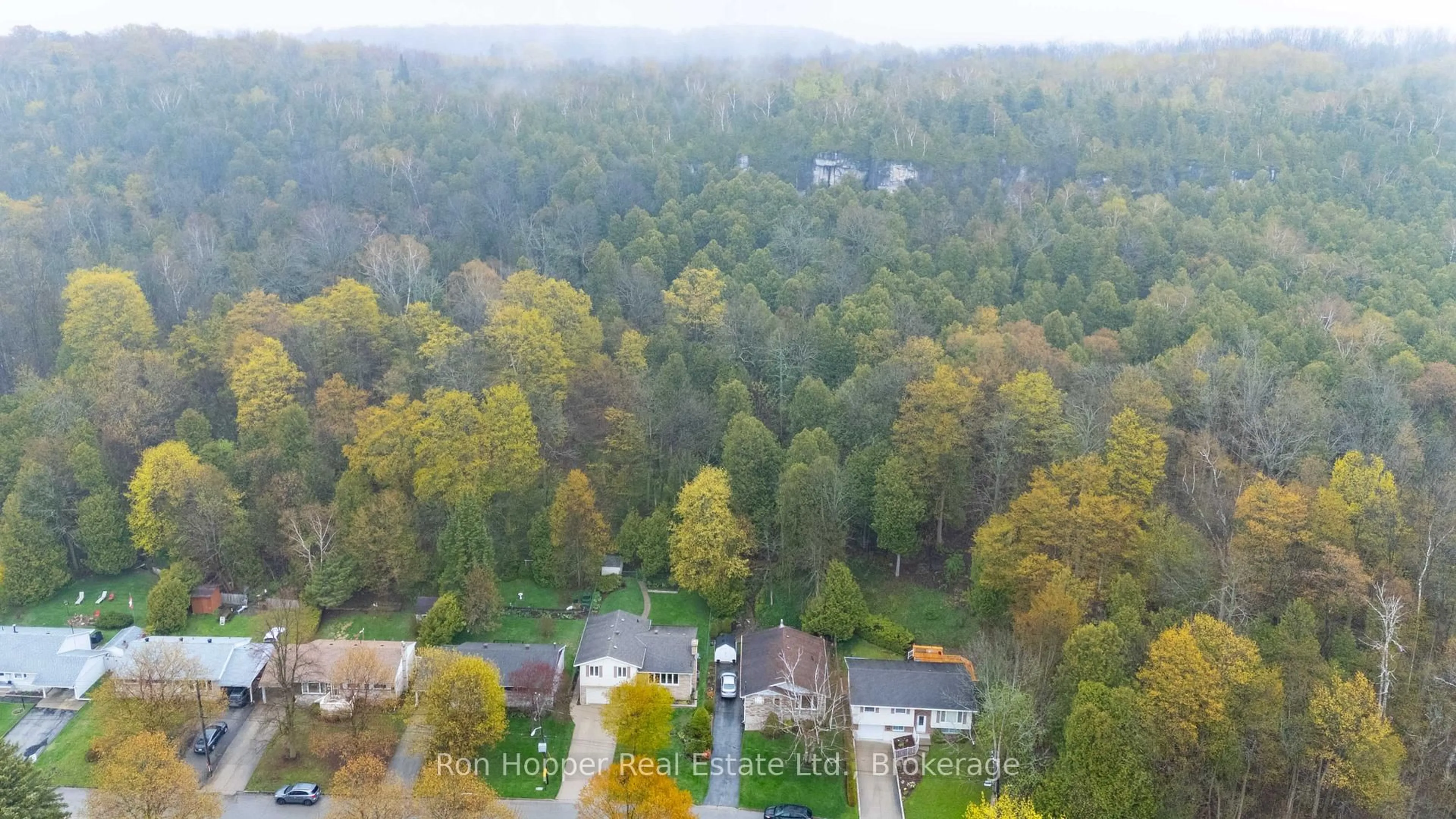 A pic from outside/outdoor area/front of a property/back of a property/a pic from drone, forest/trees view for 115 7th Ave, Owen Sound Ontario N4K 2W8