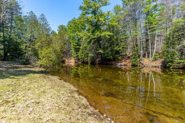 1065 Cloverleaf Rd, Algonquin Highlands 4