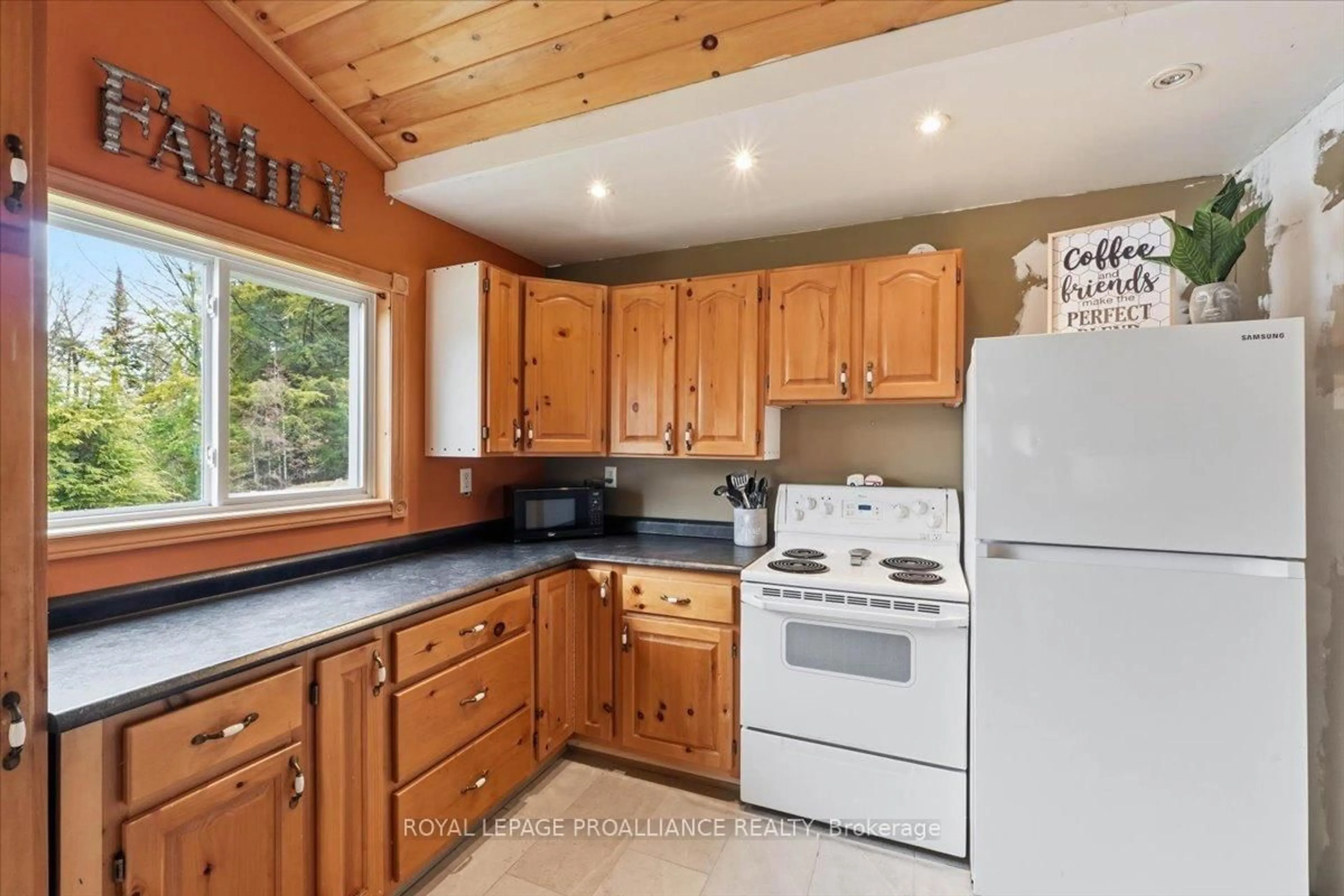 Standard kitchen, unknown for 159A Granny's Lane, Hastings Ontario K0L 1W0