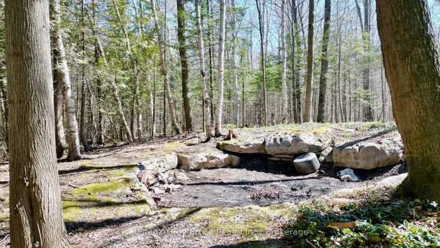 120 Tammy's Cove Rd, Northern Bruce Peninsula 5
