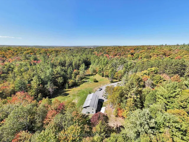 1435 Falkenburg Rd, Muskoka Lakes 3