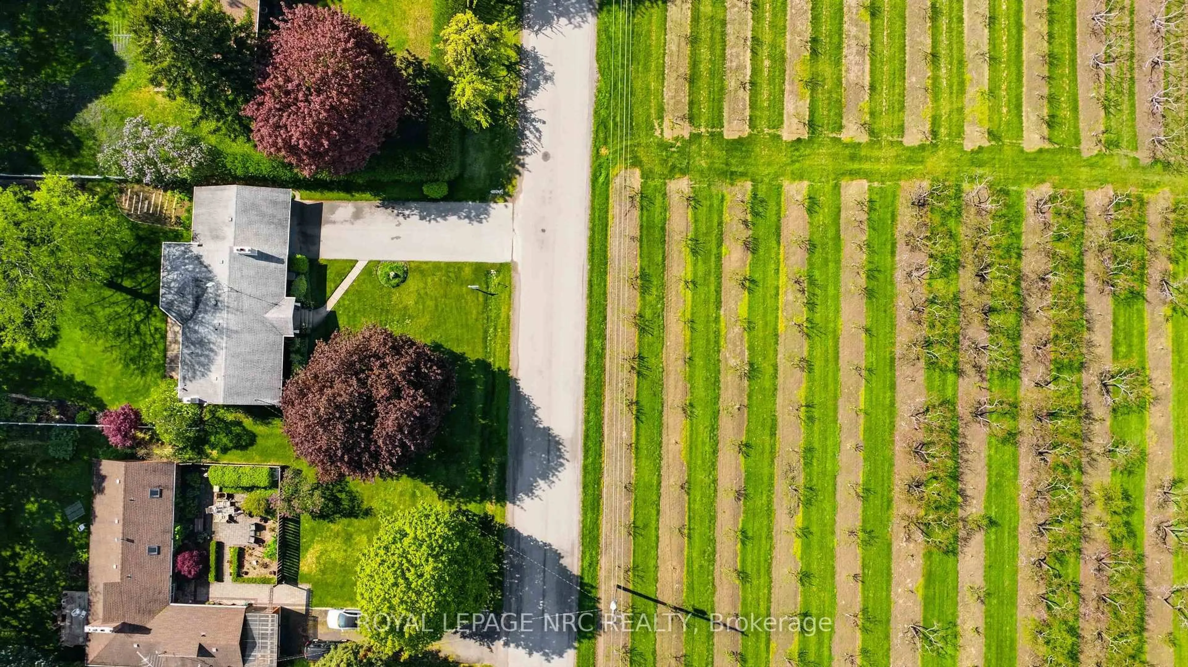 A pic from outside/outdoor area/front of a property/back of a property/a pic from drone, street for 4271 13th St, Lincoln Ontario L0R 1S0