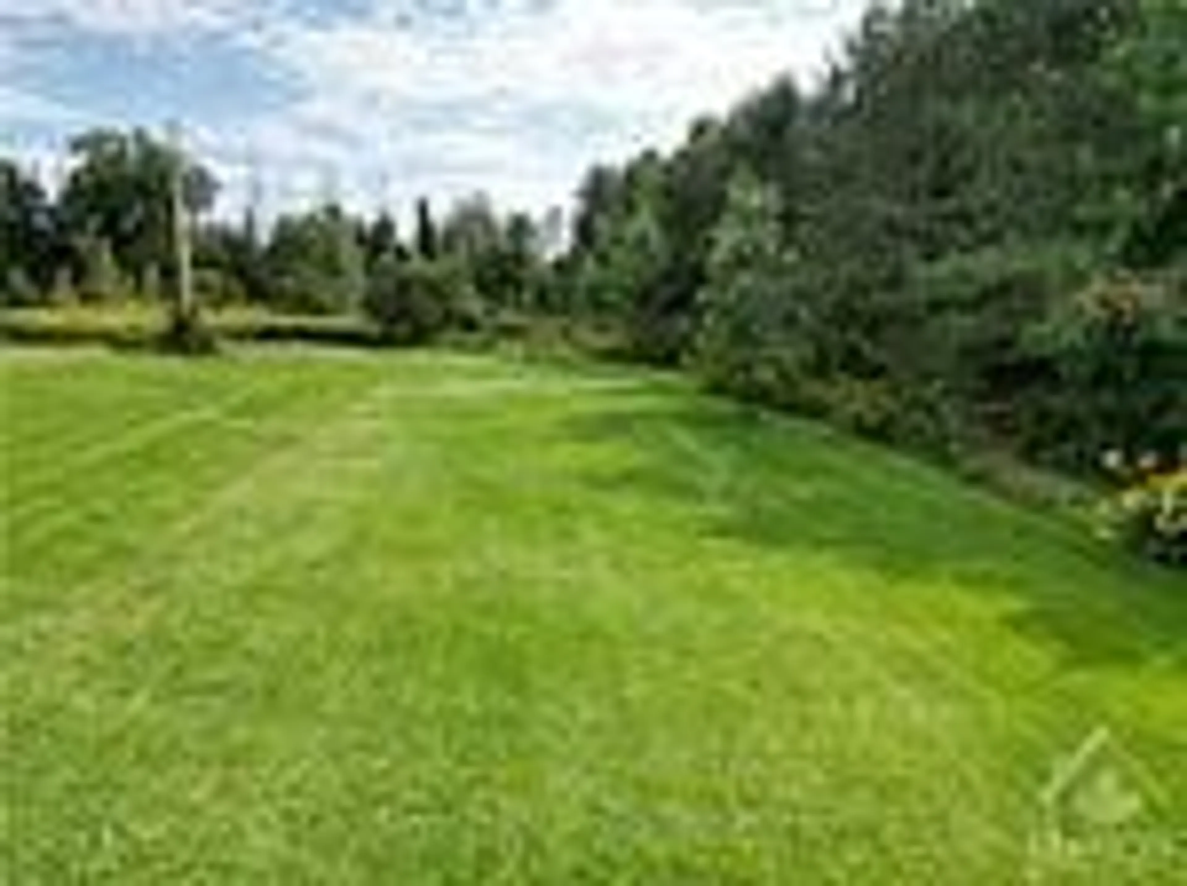 A pic from outside/outdoor area/front of a property/back of a property/a pic from drone, forest/trees view for 1981 STAGECOACH Rd, Greely Ontario K4P 1L9