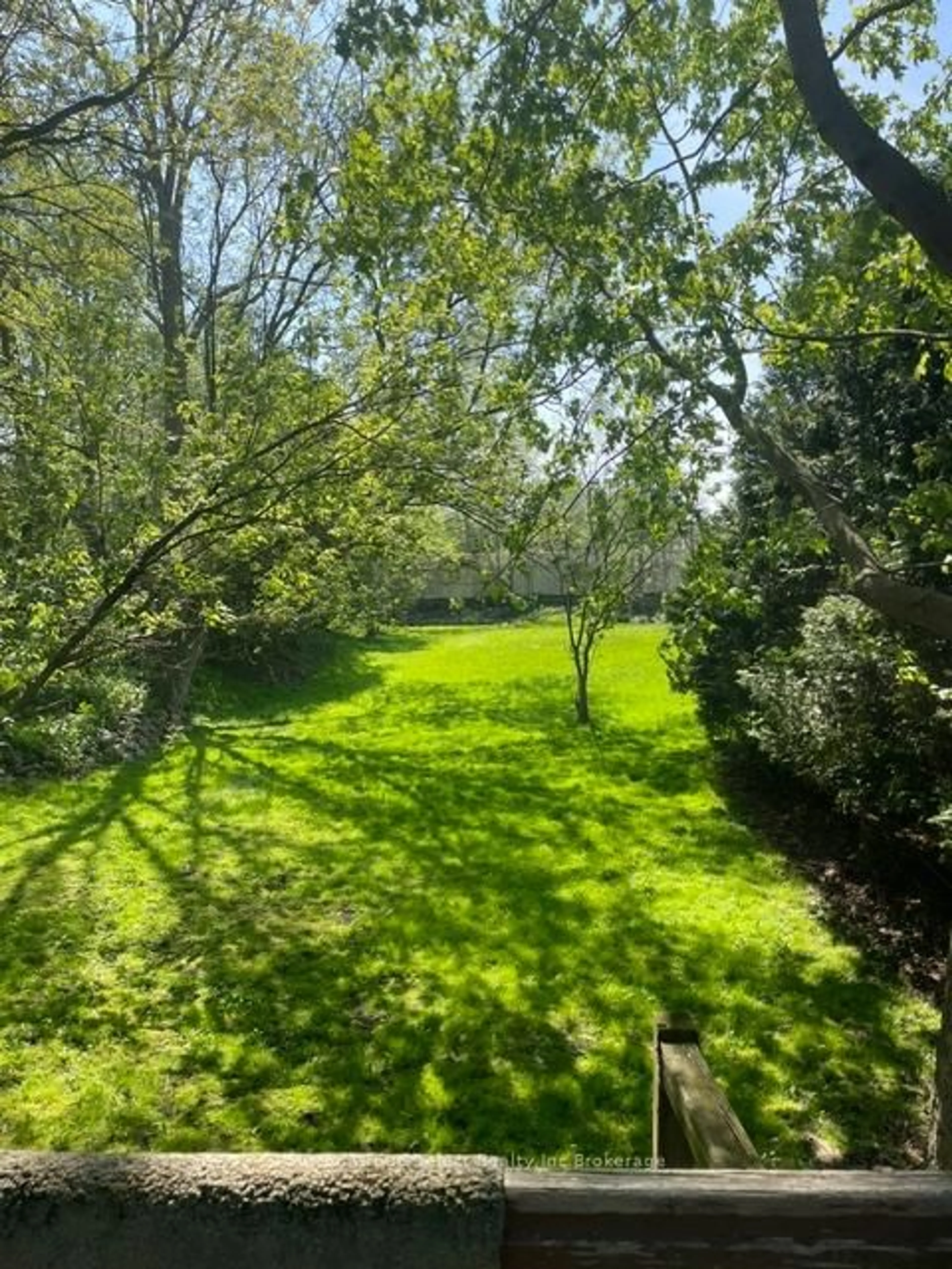 A pic from outside/outdoor area/front of a property/back of a property/a pic from drone, forest/trees view for 9 Waterloo St, Woodstock Ontario N4S 2S9