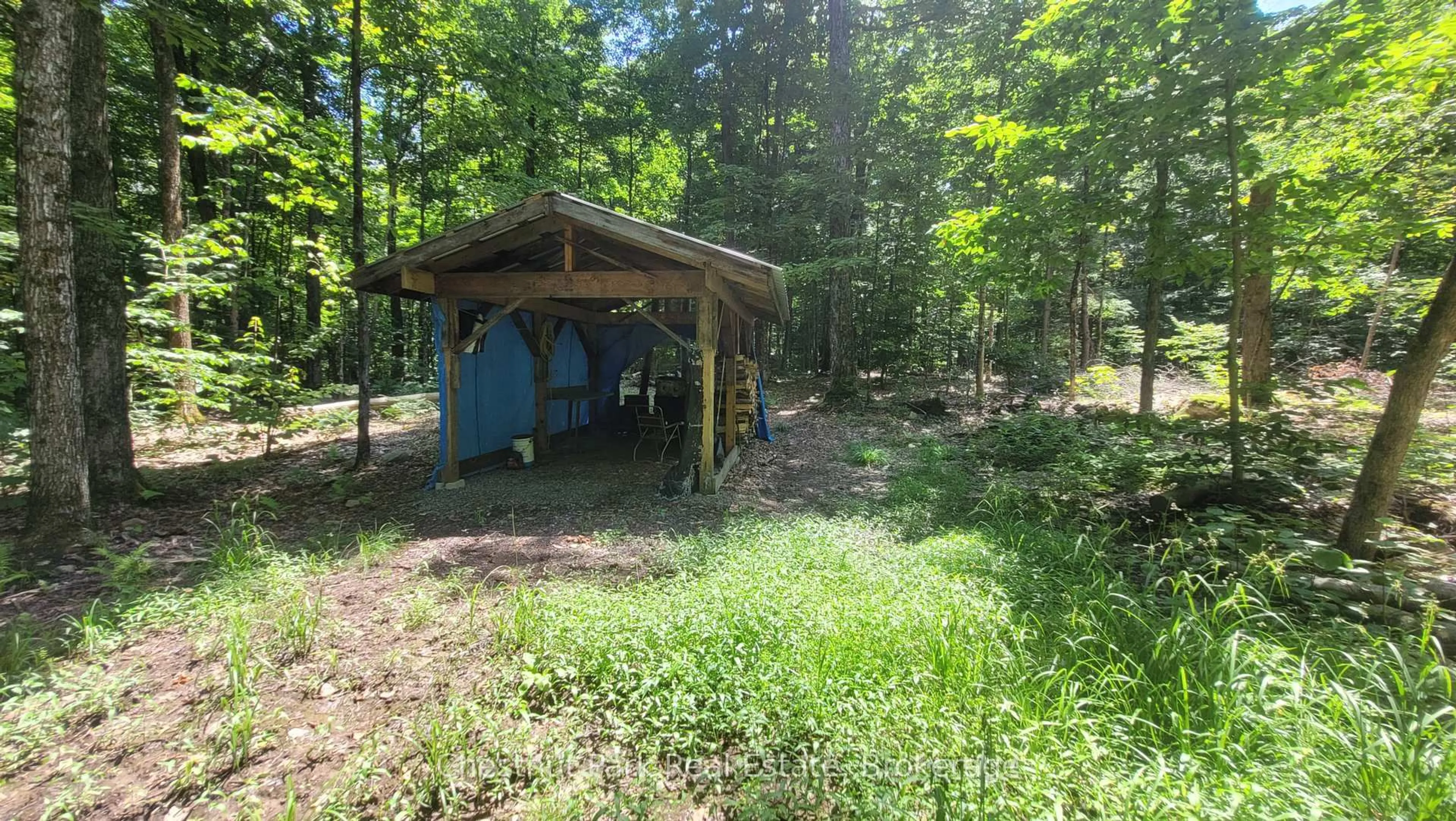 Shed for 1060 BAKER Sdrd, Bracebridge Ontario P1L 1W9