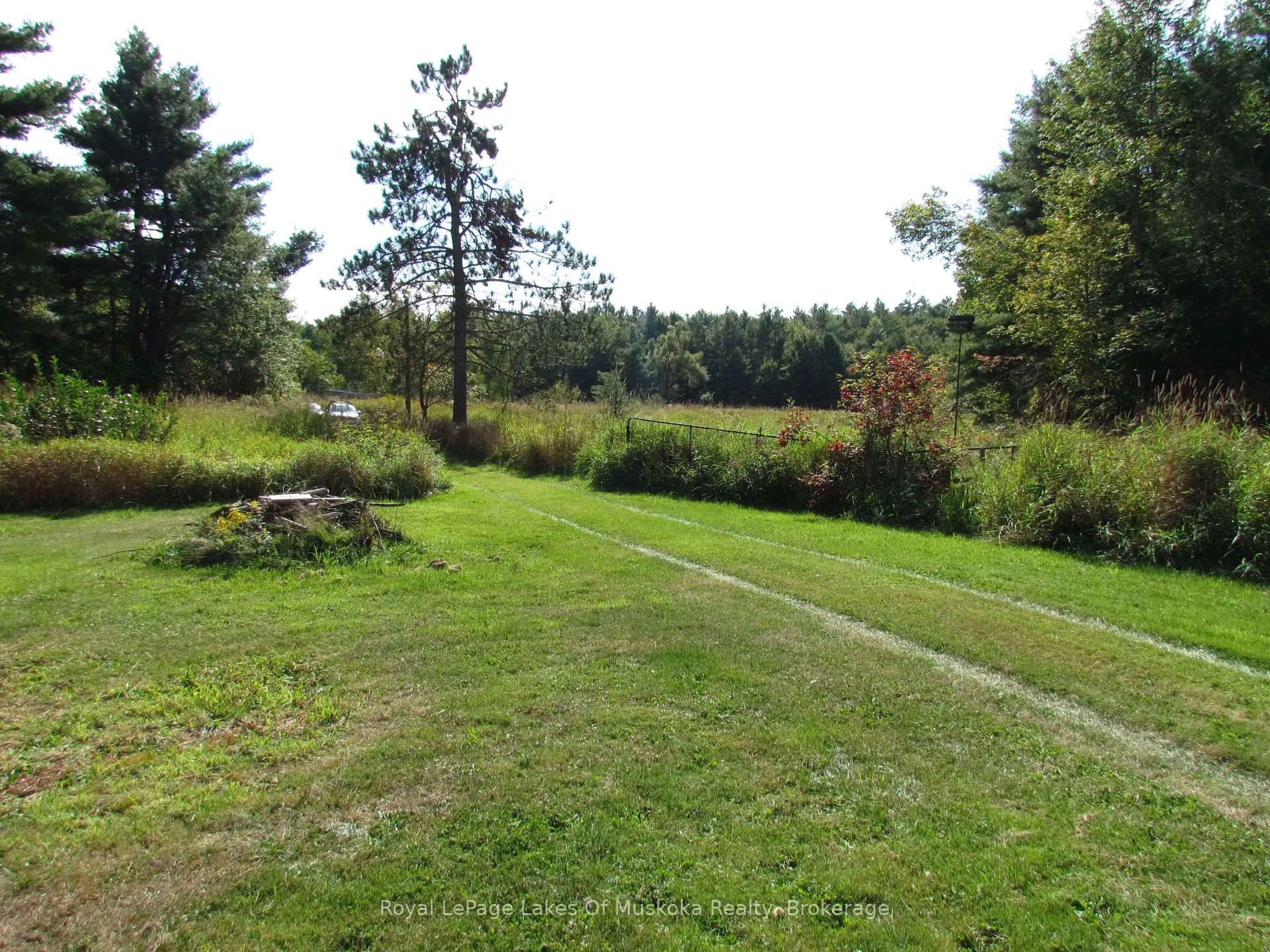 A pic from outside/outdoor area/front of a property/back of a property/a pic from drone, forest/trees view for 1016 Laycox Rd, Gravenhurst Ontario P1P 0G8