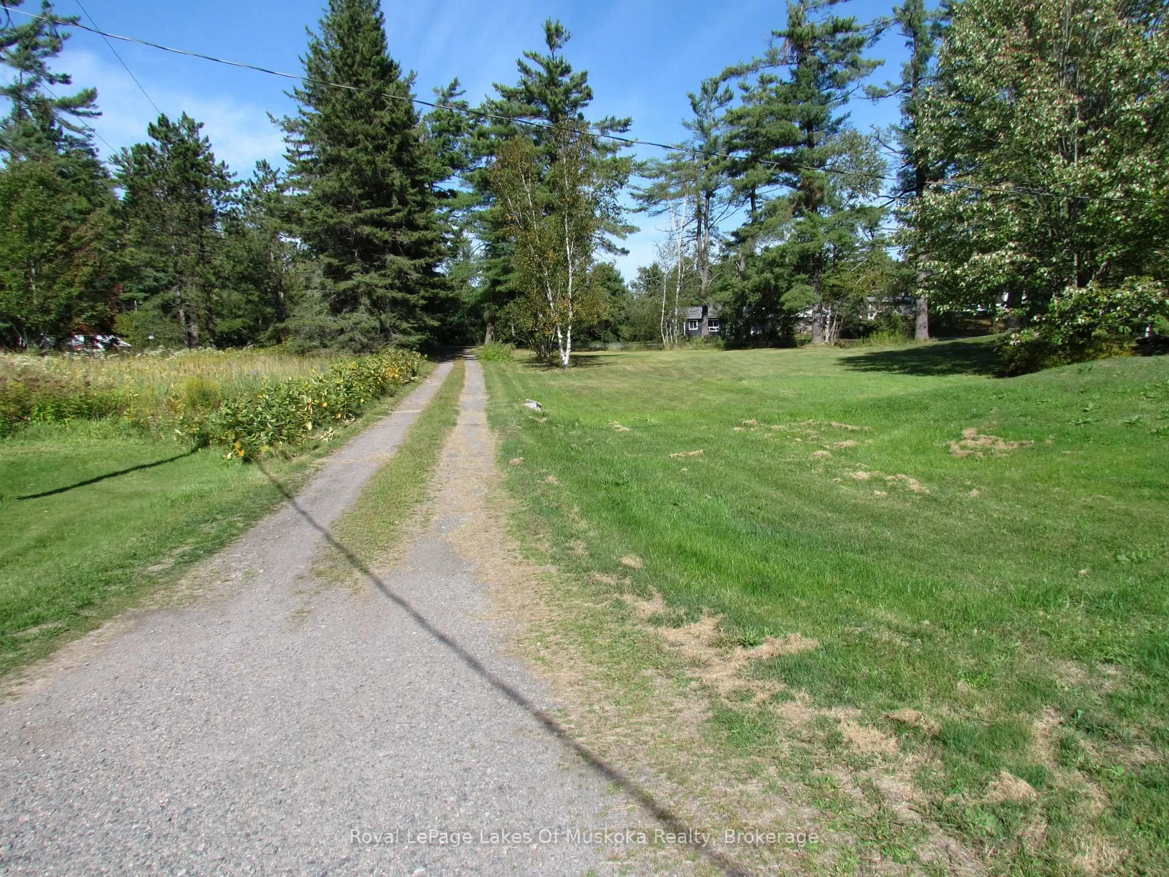 A pic from outside/outdoor area/front of a property/back of a property/a pic from drone, forest/trees view for 1016 Laycox Rd, Gravenhurst Ontario P1P 0G8