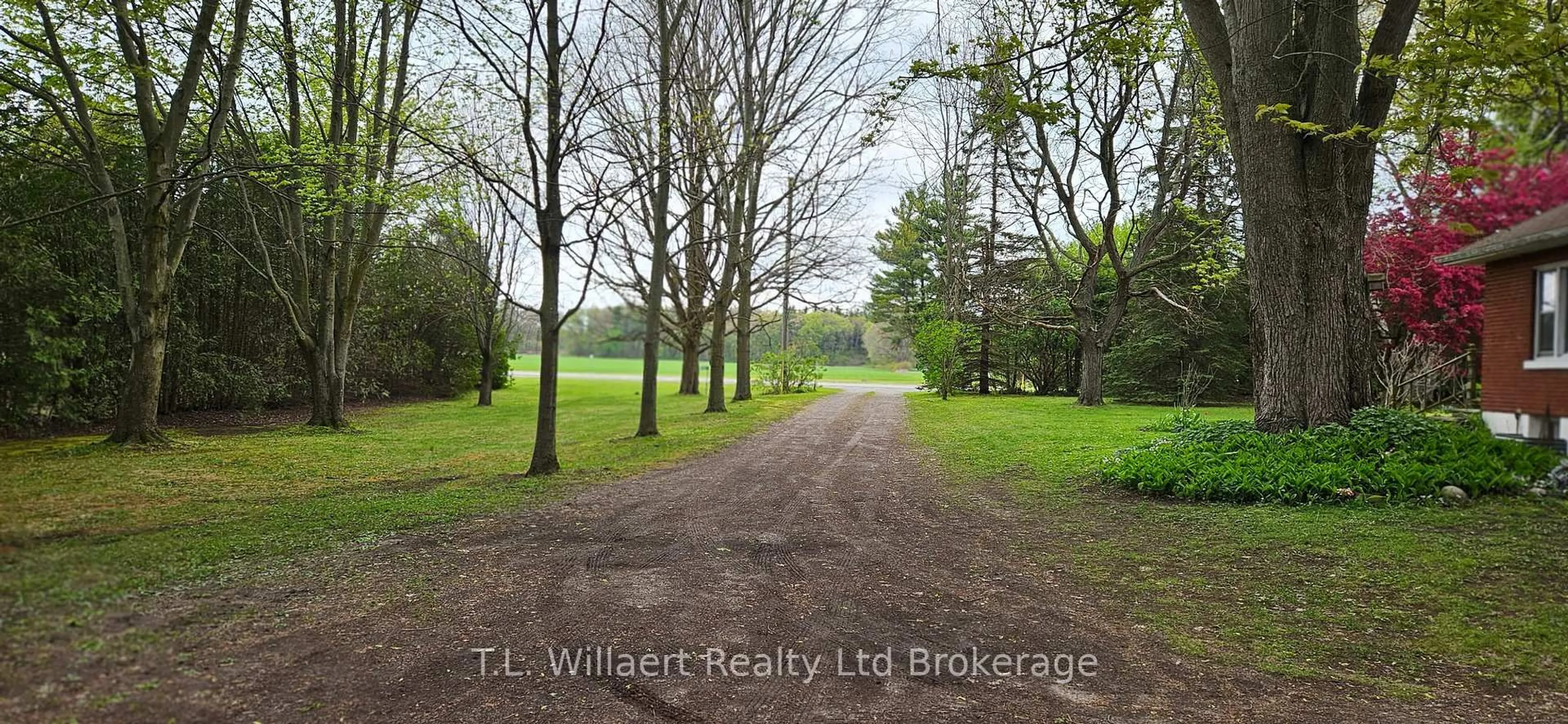 A pic from outside/outdoor area/front of a property/back of a property/a pic from drone, forest/trees view for 2642 ON-3 Highway, Norfolk Ontario N3Y 4J9
