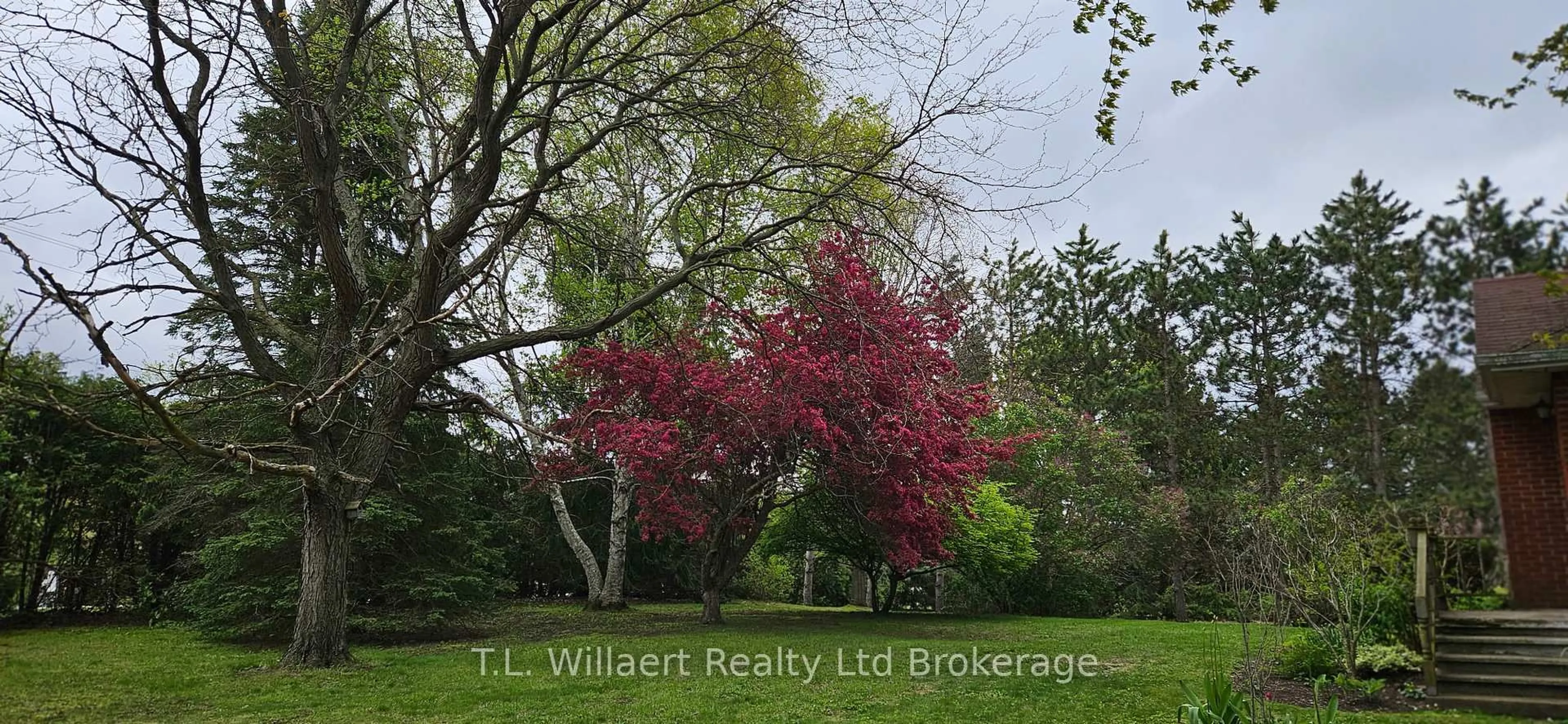 Blurry image for 2642 ON-3 Highway, Norfolk Ontario N3Y 4J9