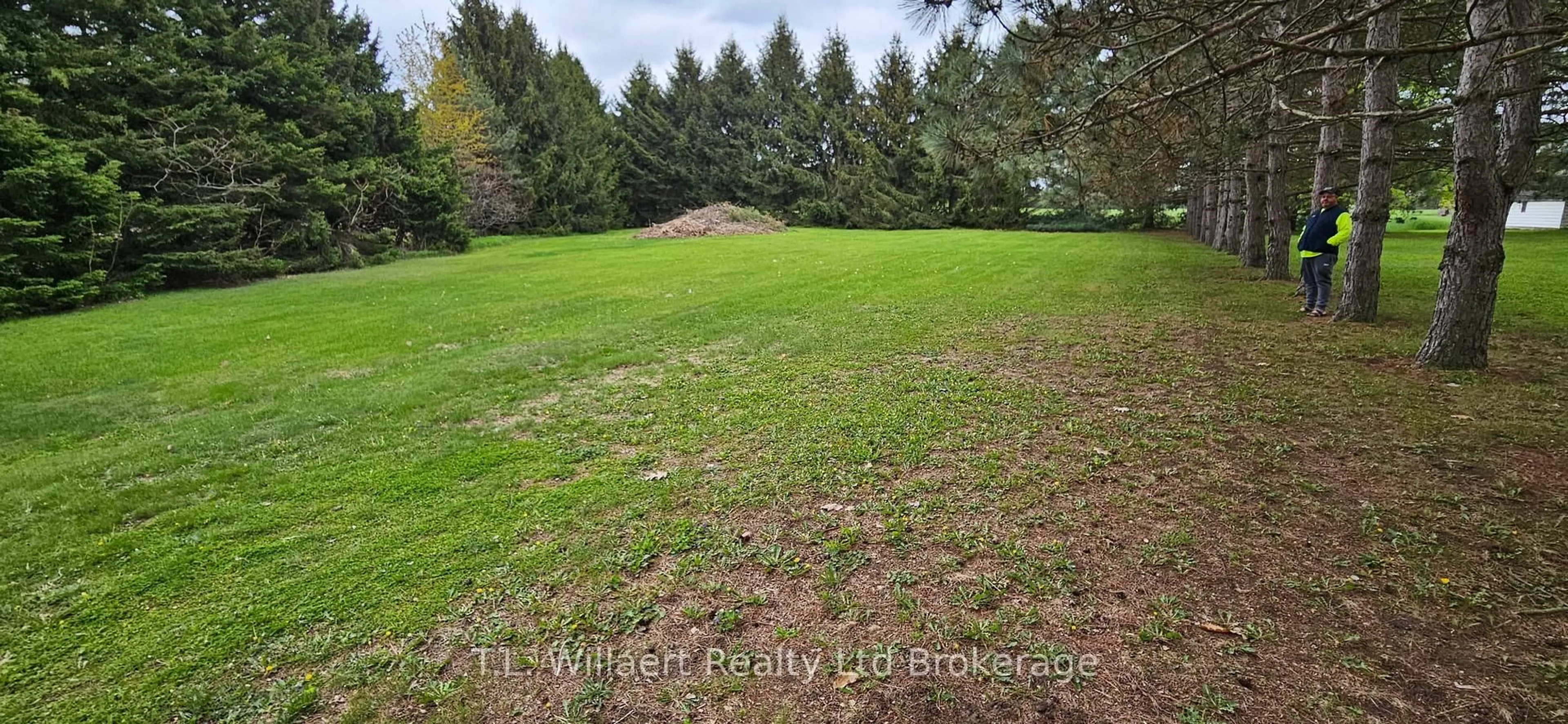 A pic from outside/outdoor area/front of a property/back of a property/a pic from drone, forest/trees view for 2642 ON-3 Highway, Norfolk Ontario N3Y 4J9