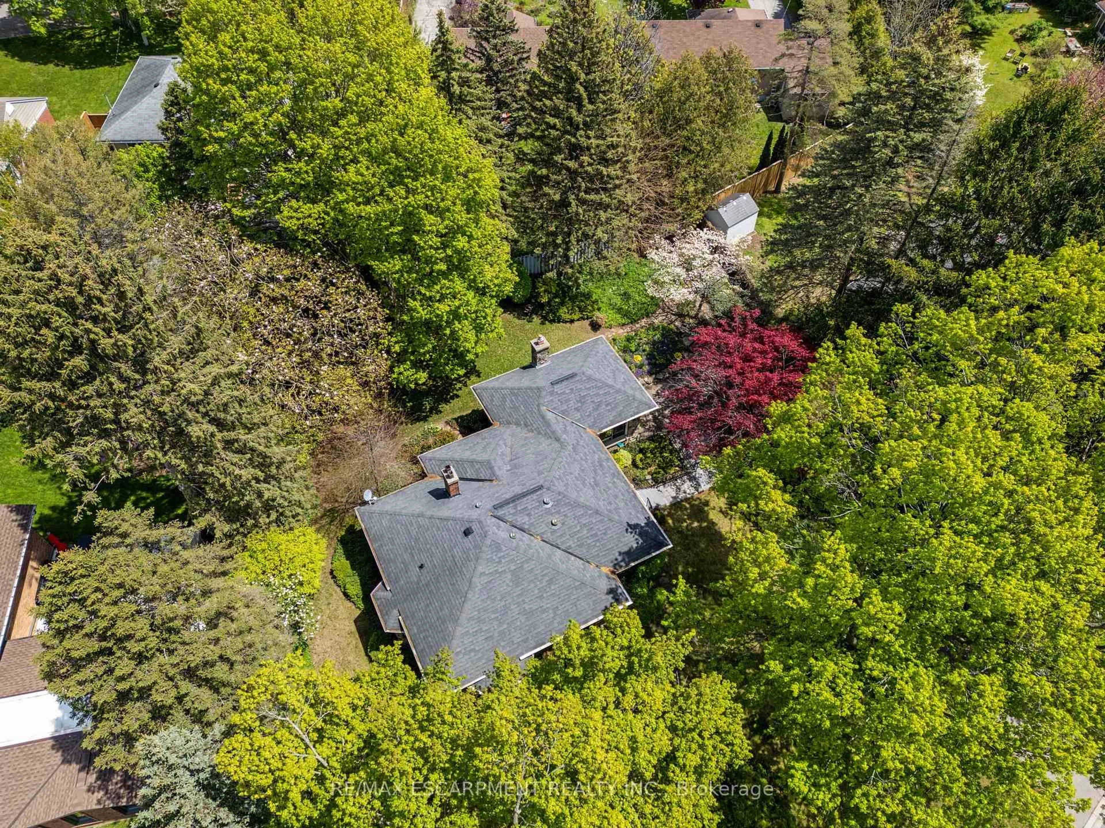 A pic from outside/outdoor area/front of a property/back of a property/a pic from drone, forest/trees view for 133 McCall Cres, Norfolk Ontario N3Y 2E2