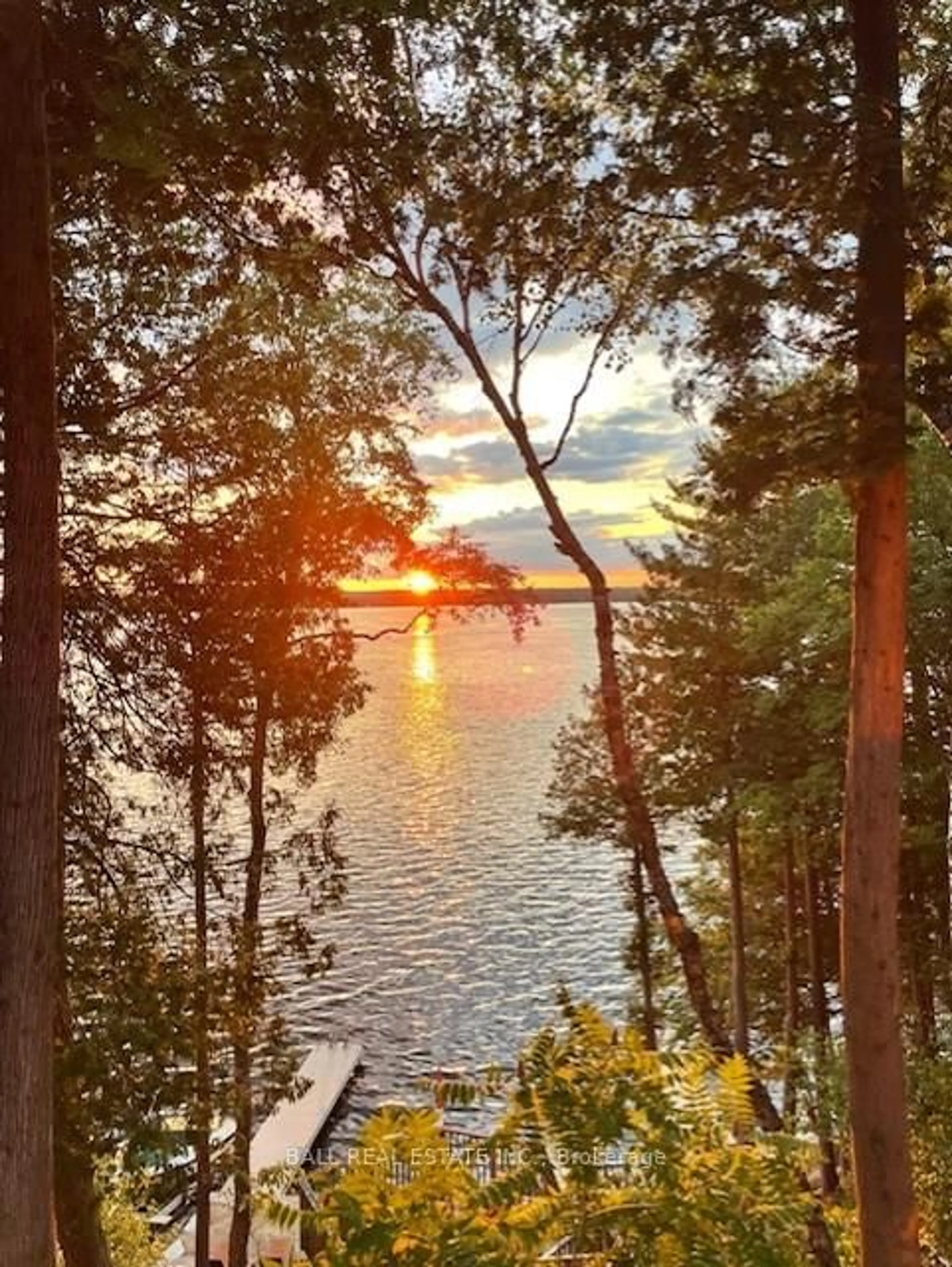A pic from outside/outdoor area/front of a property/back of a property/a pic from drone, water/lake/river/ocean view for 61 Ted's Lane, Trent Lakes Ontario K0L 1J0