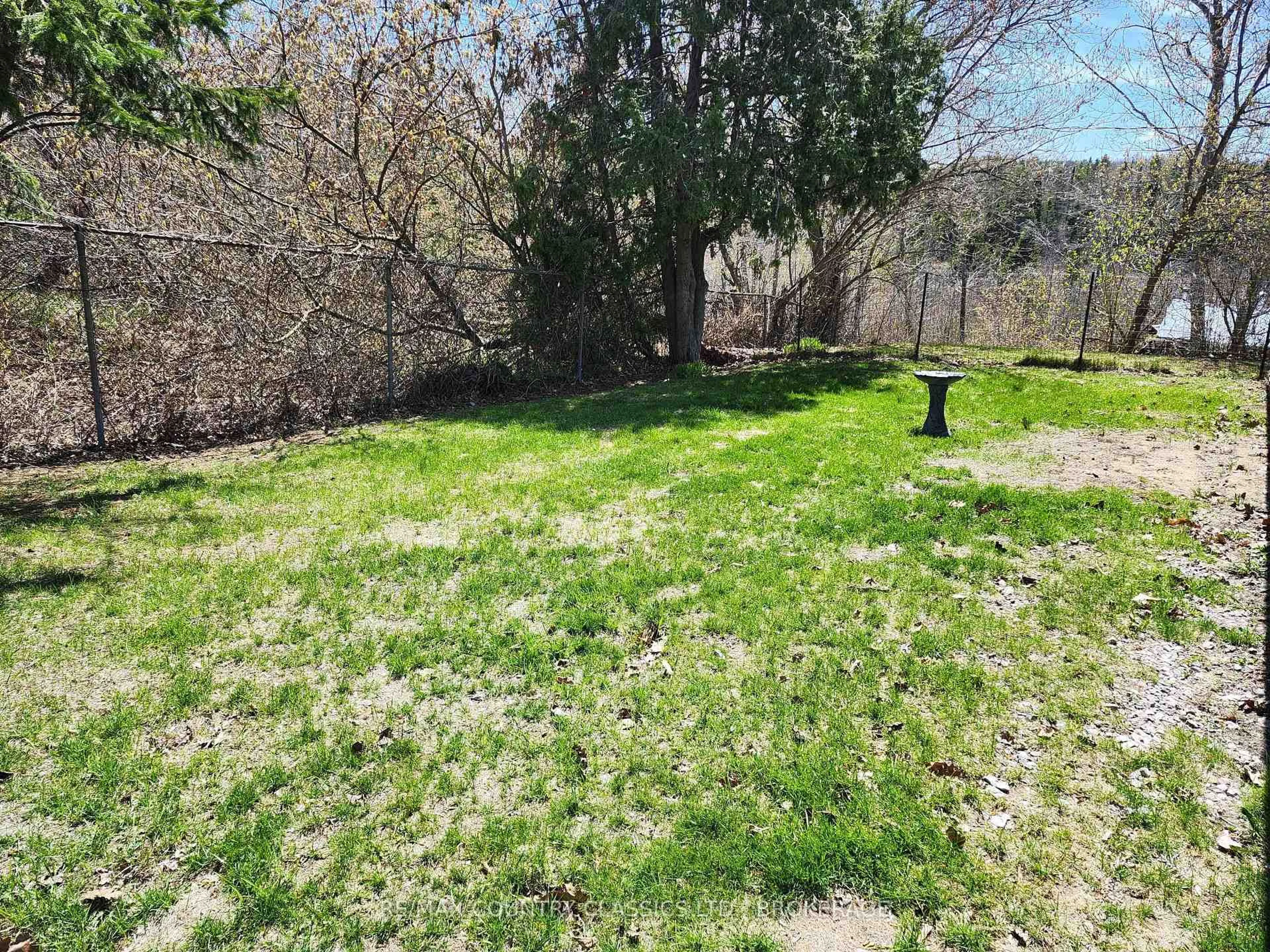 A pic from outside/outdoor area/front of a property/back of a property/a pic from drone, forest/trees view for 11 Central St, Denbigh Ontario K0H 1L0