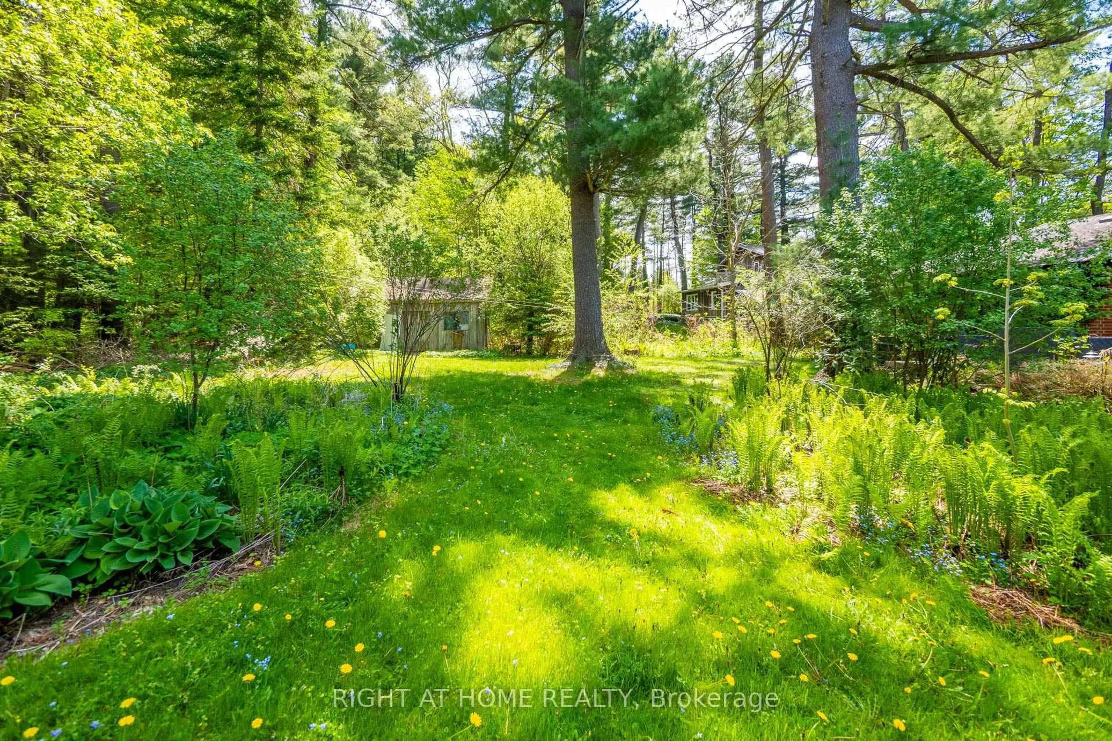 A pic from outside/outdoor area/front of a property/back of a property/a pic from drone, forest/trees view for 255 Shaver Rd, Hamilton Ontario L0R 1R0