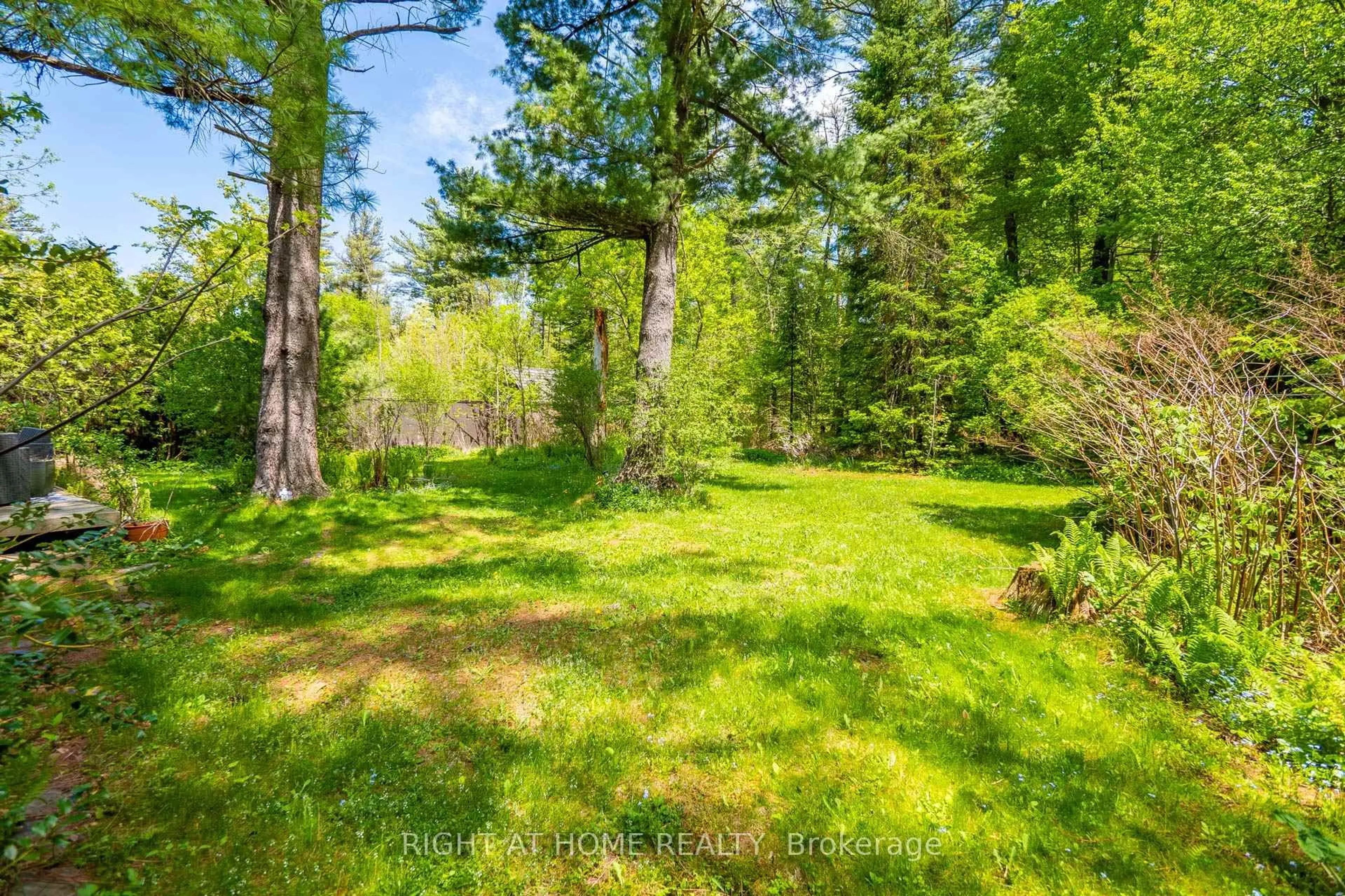 A pic from outside/outdoor area/front of a property/back of a property/a pic from drone, forest/trees view for 255 Shaver Rd, Hamilton Ontario L0R 1R0
