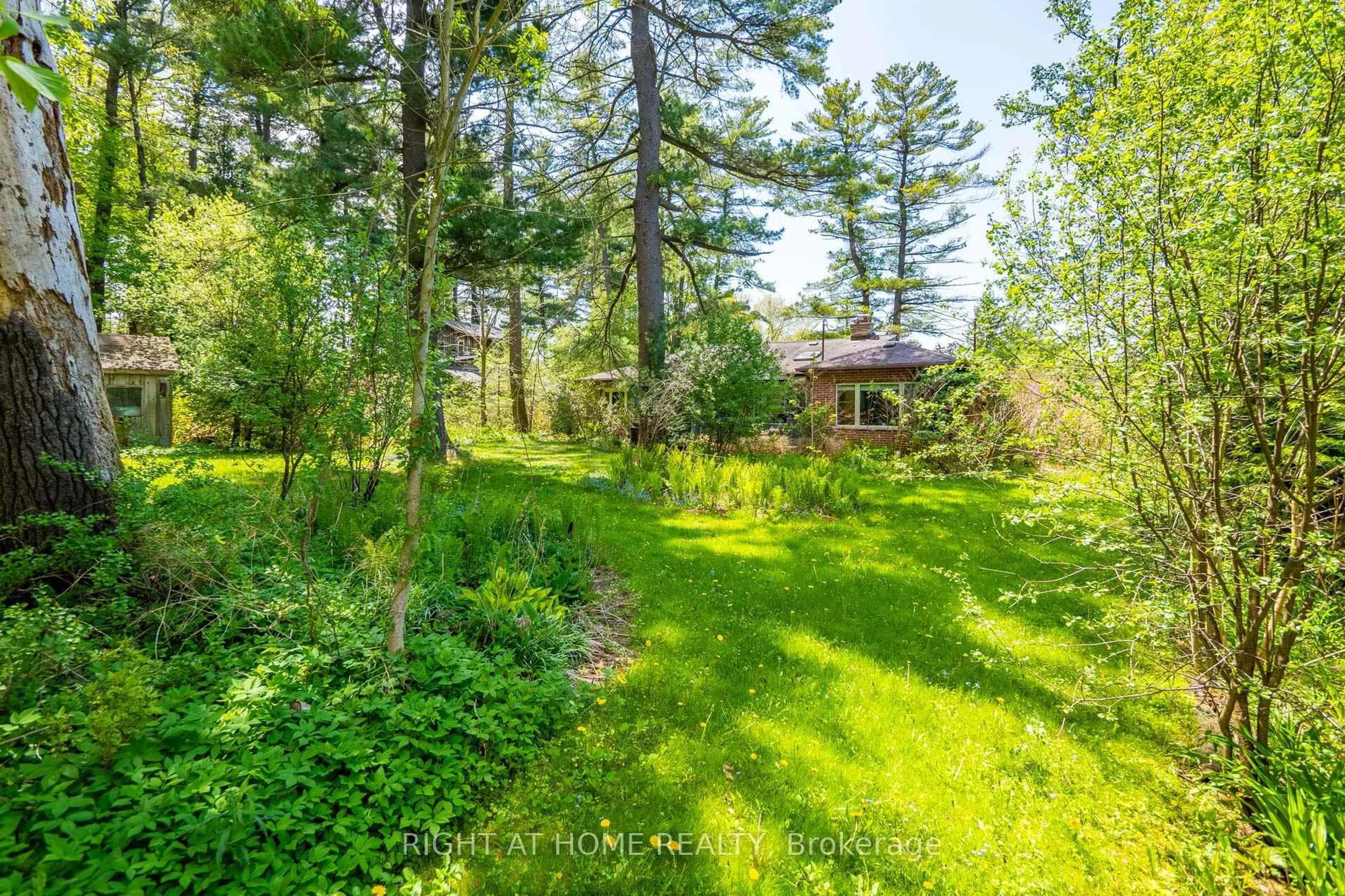A pic from outside/outdoor area/front of a property/back of a property/a pic from drone, forest/trees view for 255 Shaver Rd, Hamilton Ontario L0R 1R0