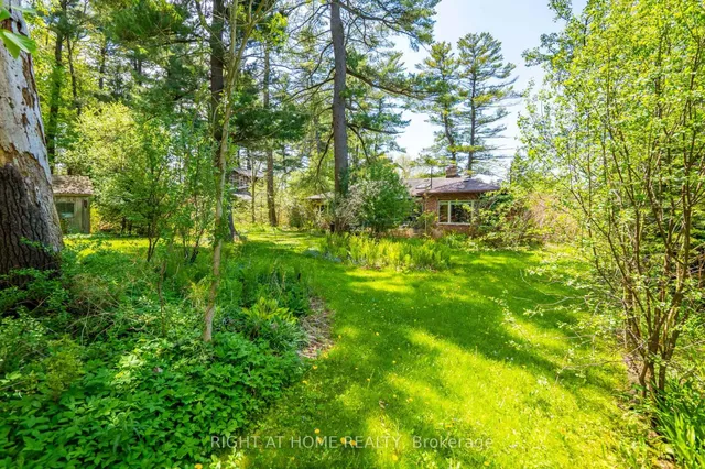 255 Shaver Rd, Hamilton 5