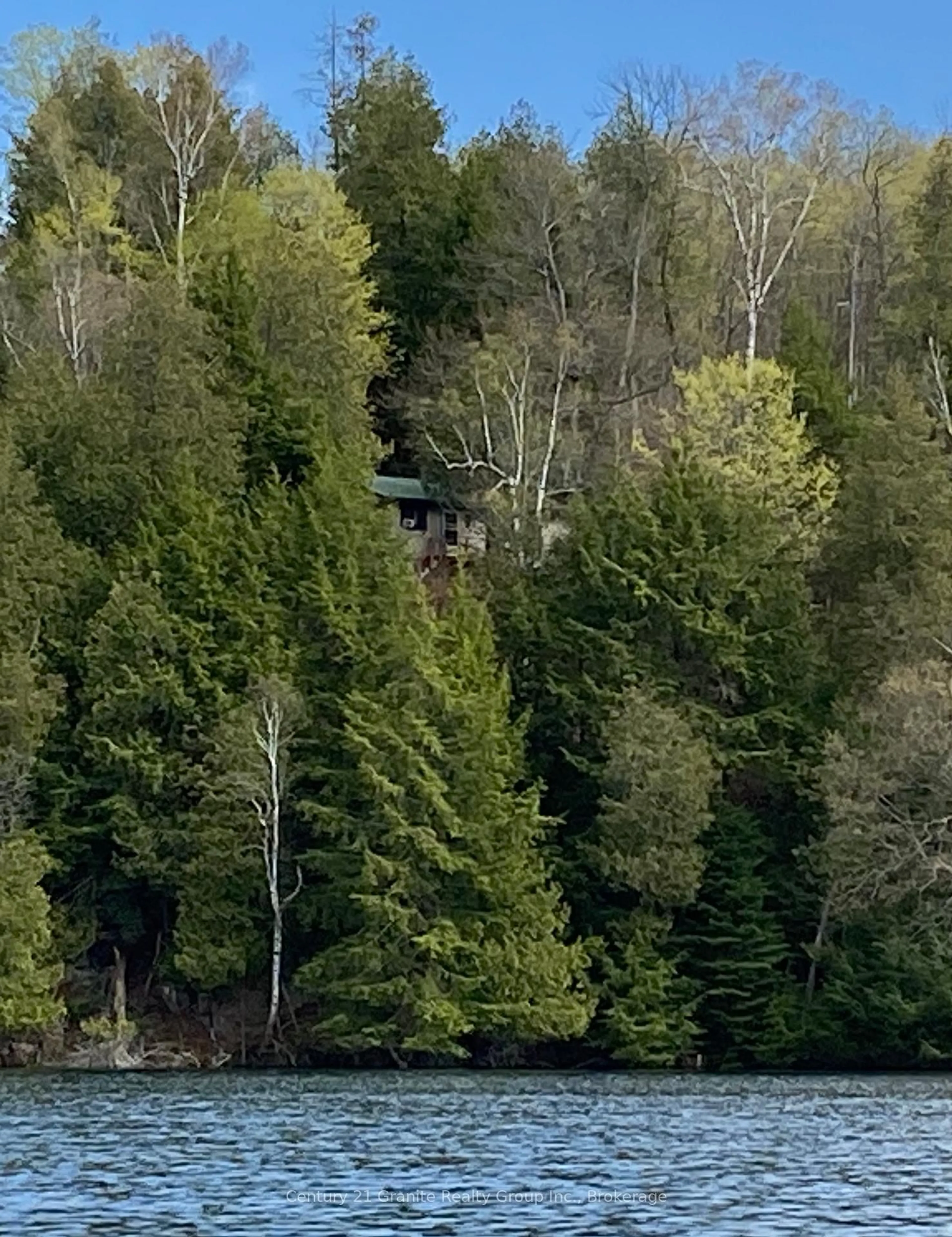 Blurry image for 1167 Precipice Rd, Dysart et al Ontario K0M 1S0