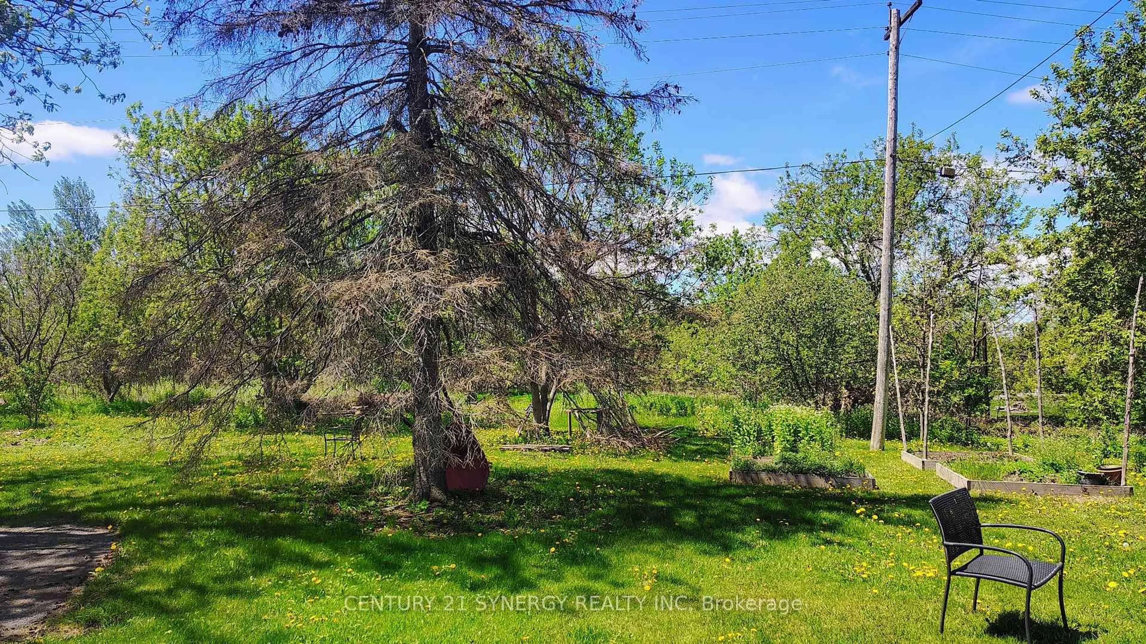 A pic from outside/outdoor area/front of a property/back of a property/a pic from drone, forest/trees view for 2772 8th Line Rd, Metcalfe Ontario K0A 2P0