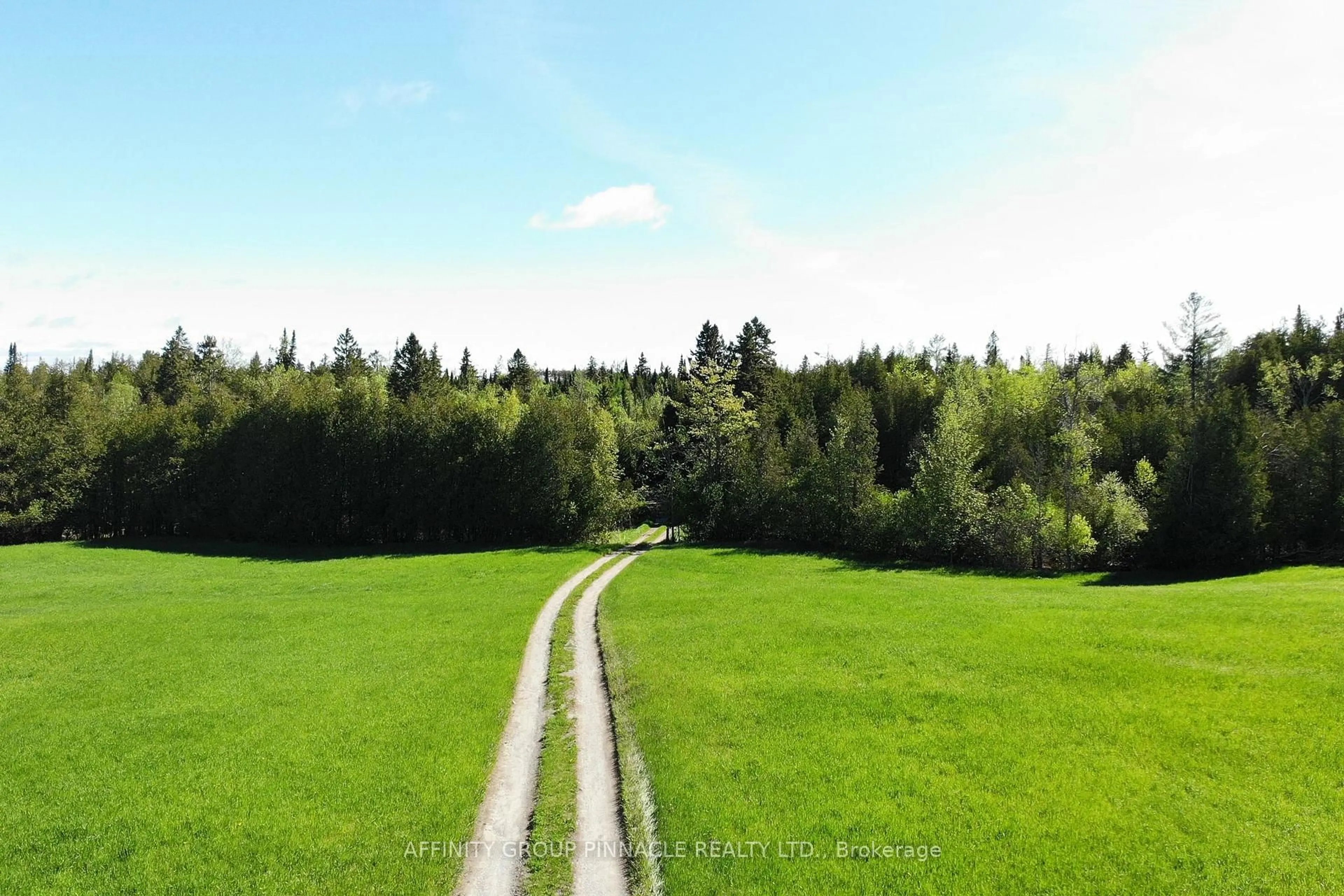 A pic from outside/outdoor area/front of a property/back of a property/a pic from drone, forest/trees view for 47 Cable Rd, Kawartha Lakes Ontario K0M 1N0