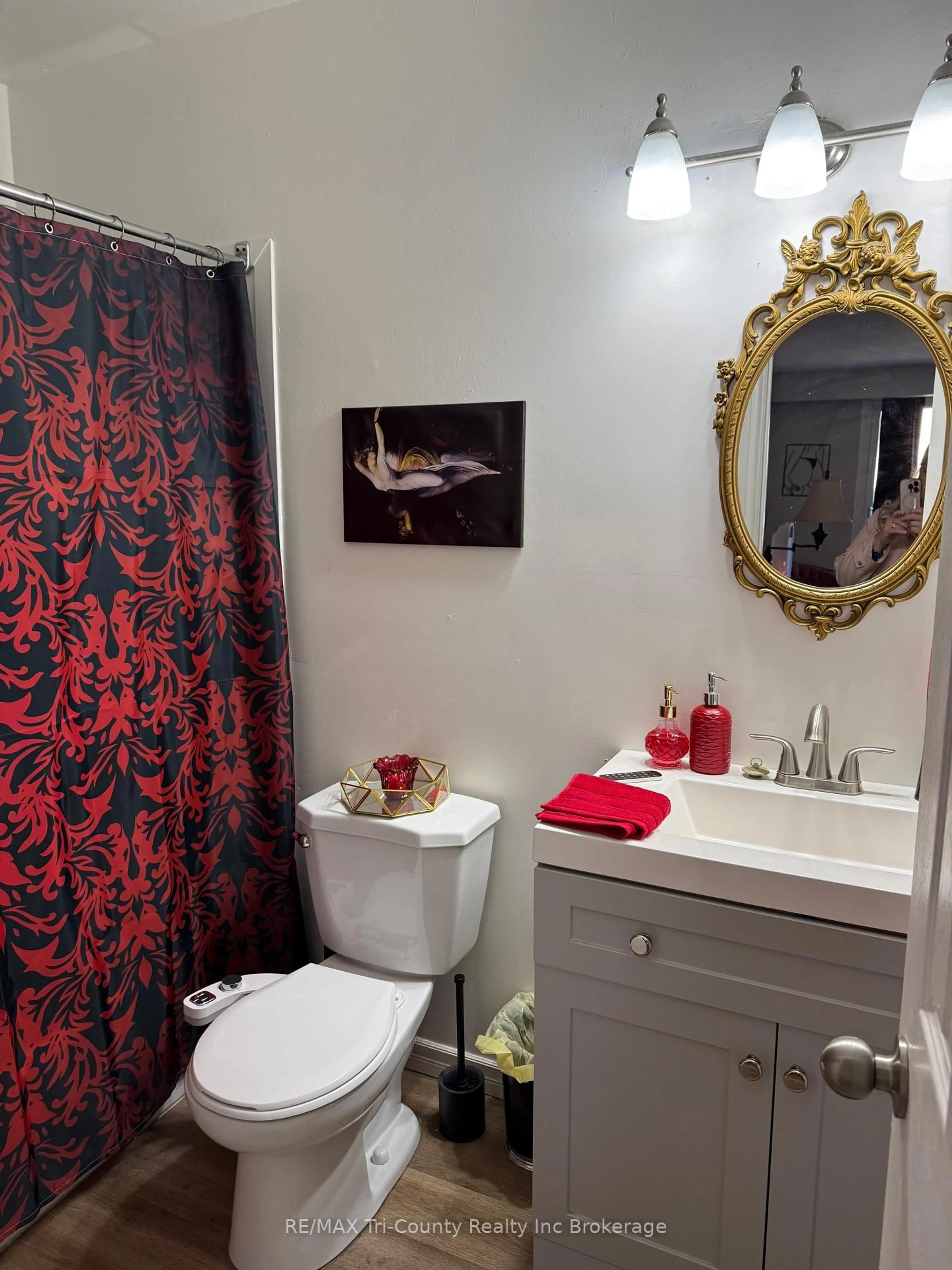 Standard bathroom, unknown for 191 Lisgar Ave #301, Tillsonburg Ontario N4G 3L5