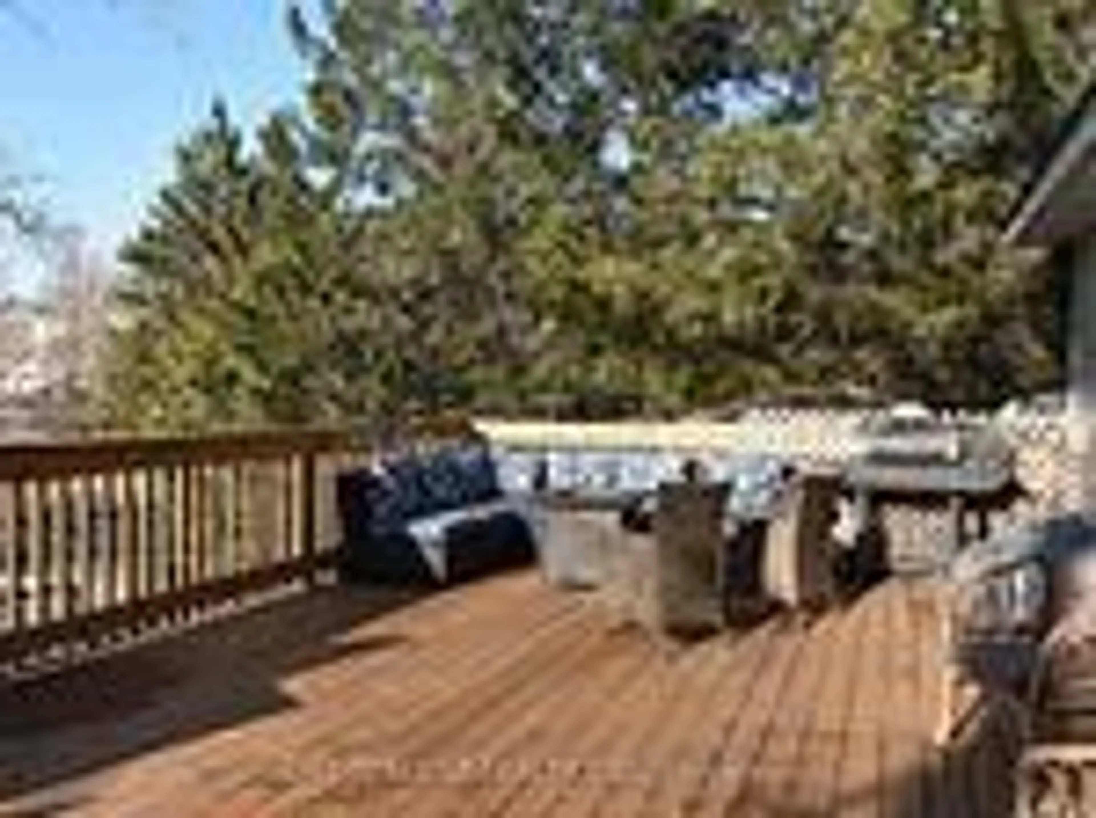 Patio, forest/trees view for 31 Prince St, Minden Hills Ontario K0M 2K0