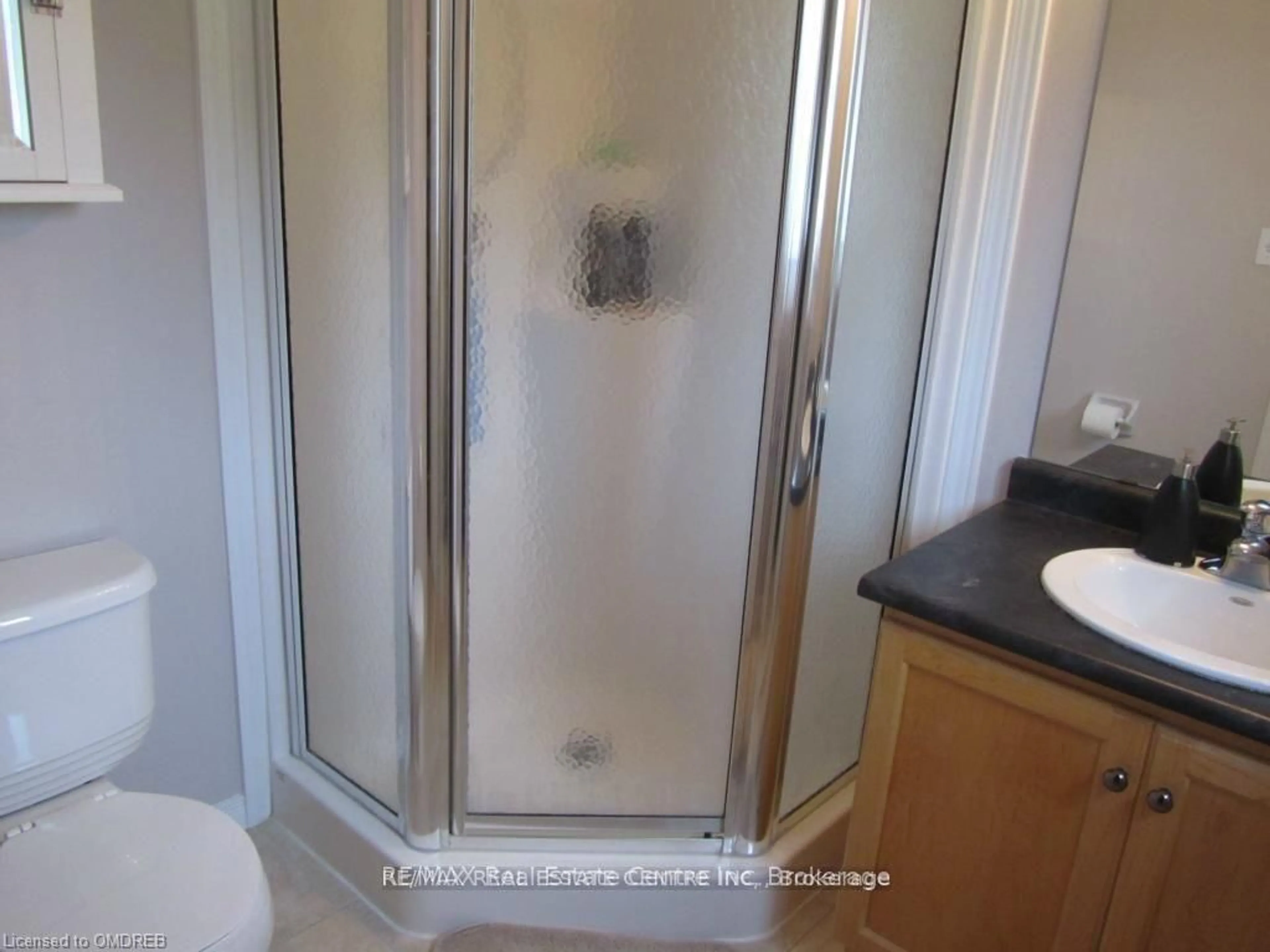 Standard bathroom, floor is not visible for 292 Briarmeadow Dr, Kitchener Ontario N2A 4L1