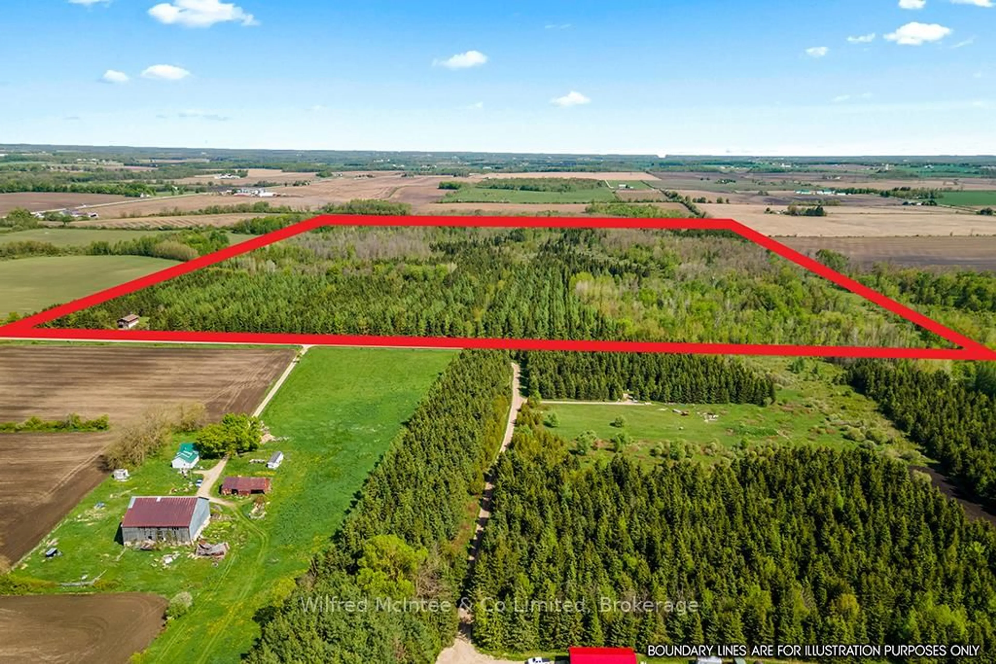 A pic from outside/outdoor area/front of a property/back of a property/a pic from drone, forest/trees view for 8446 Line 12, Wellington North Ontario N0G 1N0