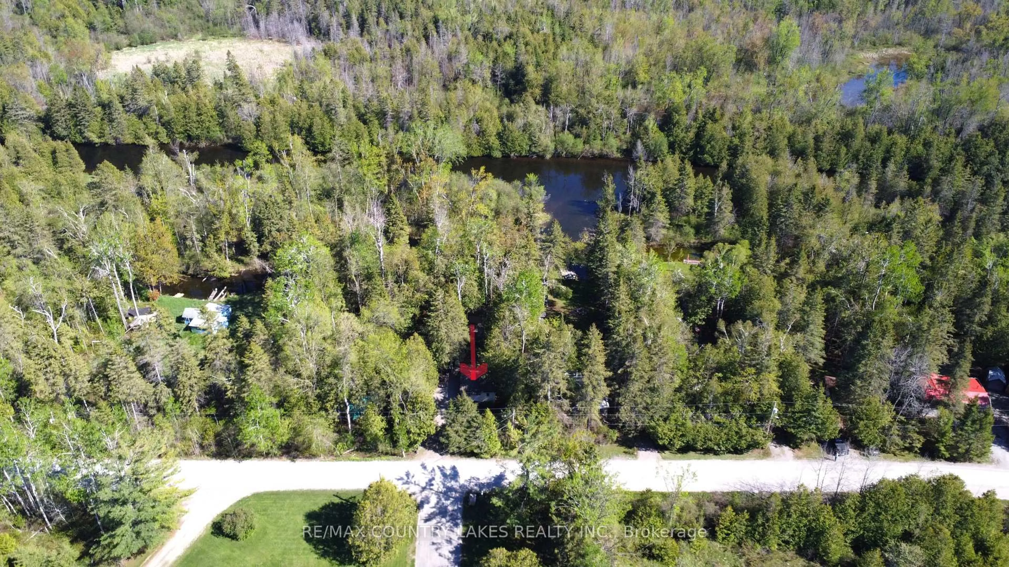 A pic from outside/outdoor area/front of a property/back of a property/a pic from drone, forest/trees view for 77 McGuire Beach Rd, Kawartha Lakes Ontario K0M 2B0