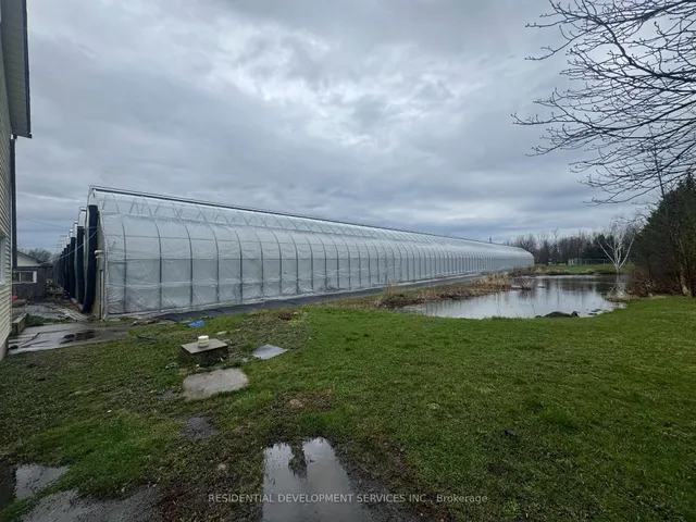342 Mountain Rd, Grimsby 2