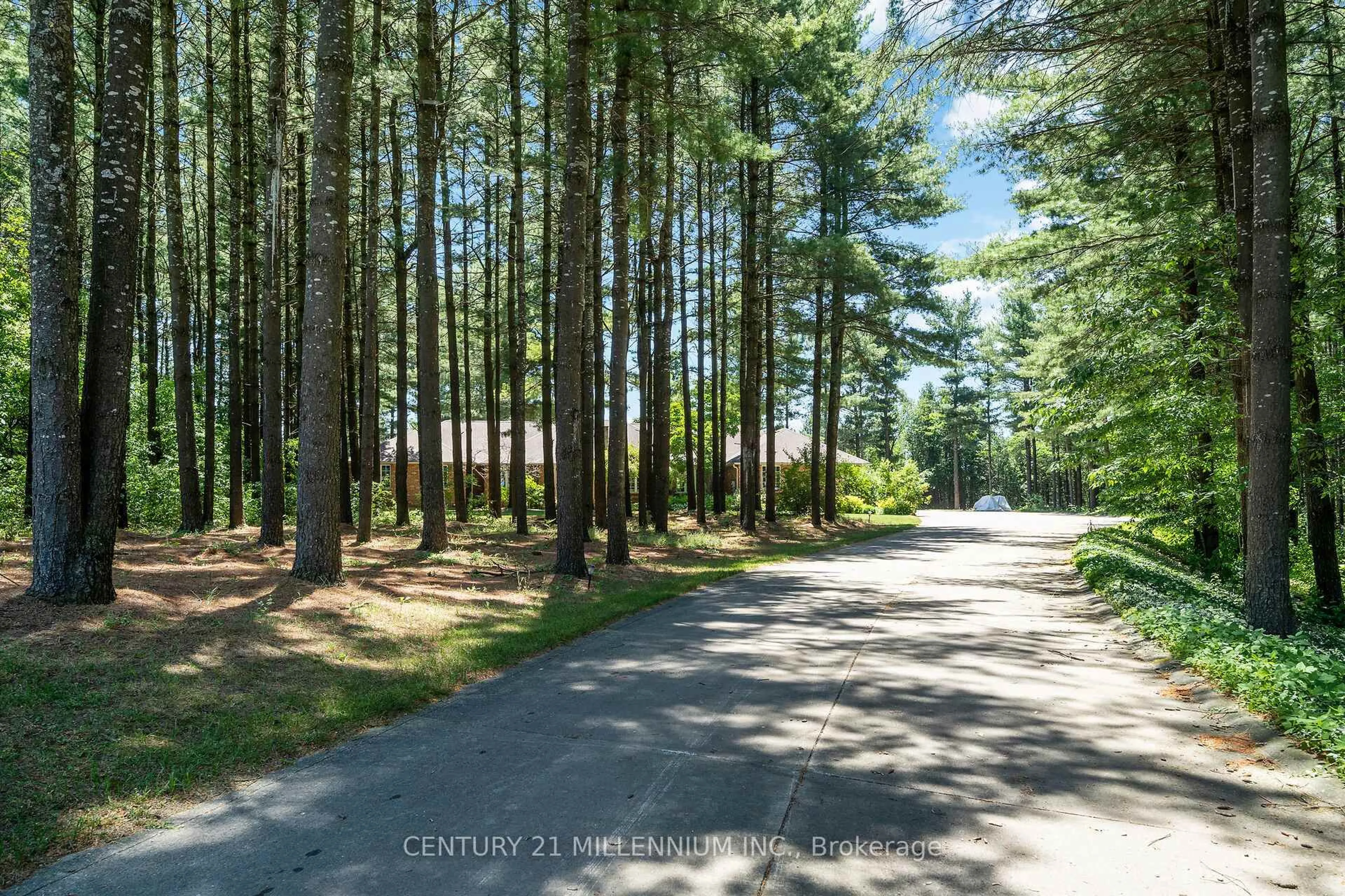 A pic from outside/outdoor area/front of a property/back of a property/a pic from drone, forest/trees view for 41 Pine Ridge Rd, Erin Ontario N0B 1T0